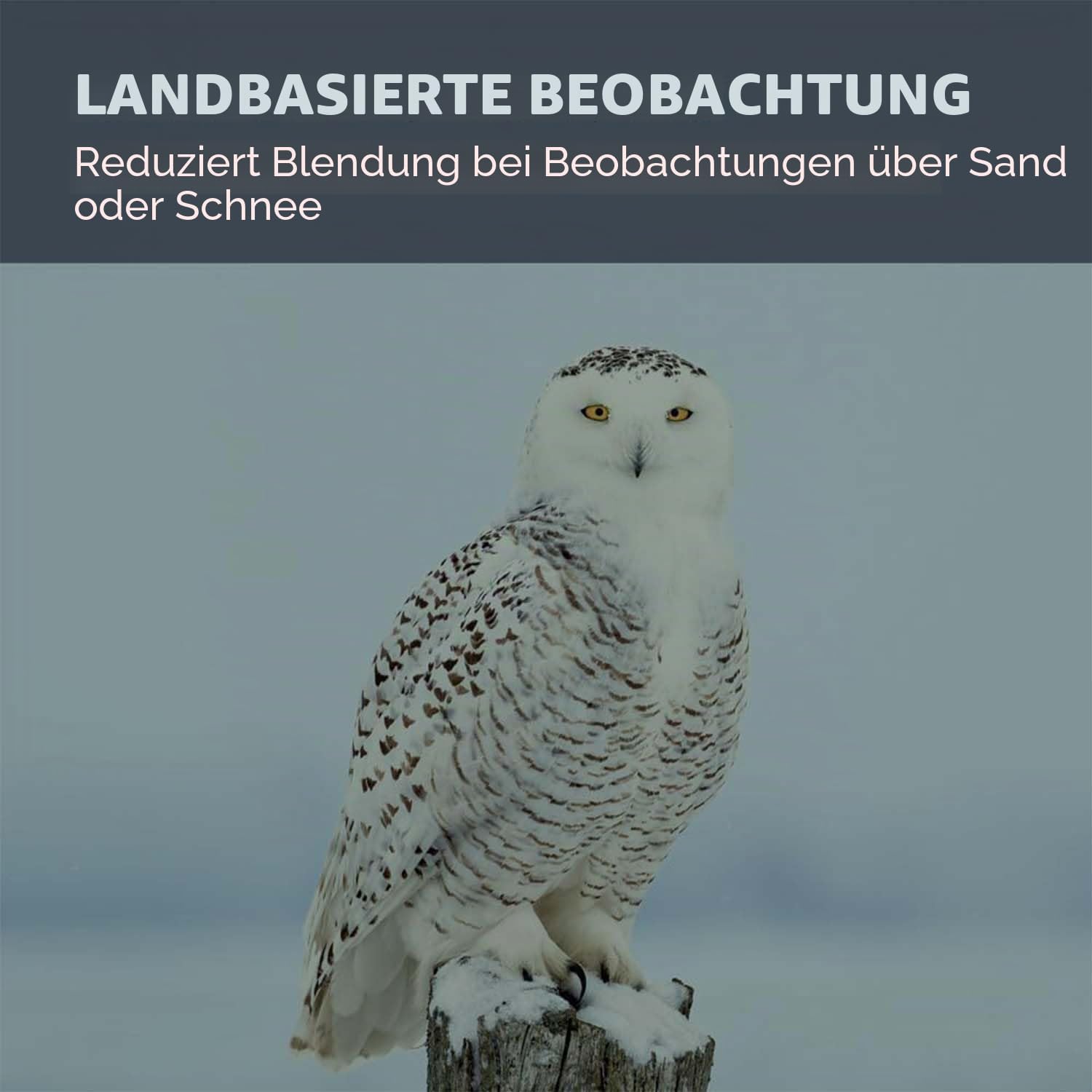 Thumbnail 3 de Celestron 94119-A 1.25 Zoll Mondfilter – Klarer Kontrast für Mond- und Planetenbeobachtungen