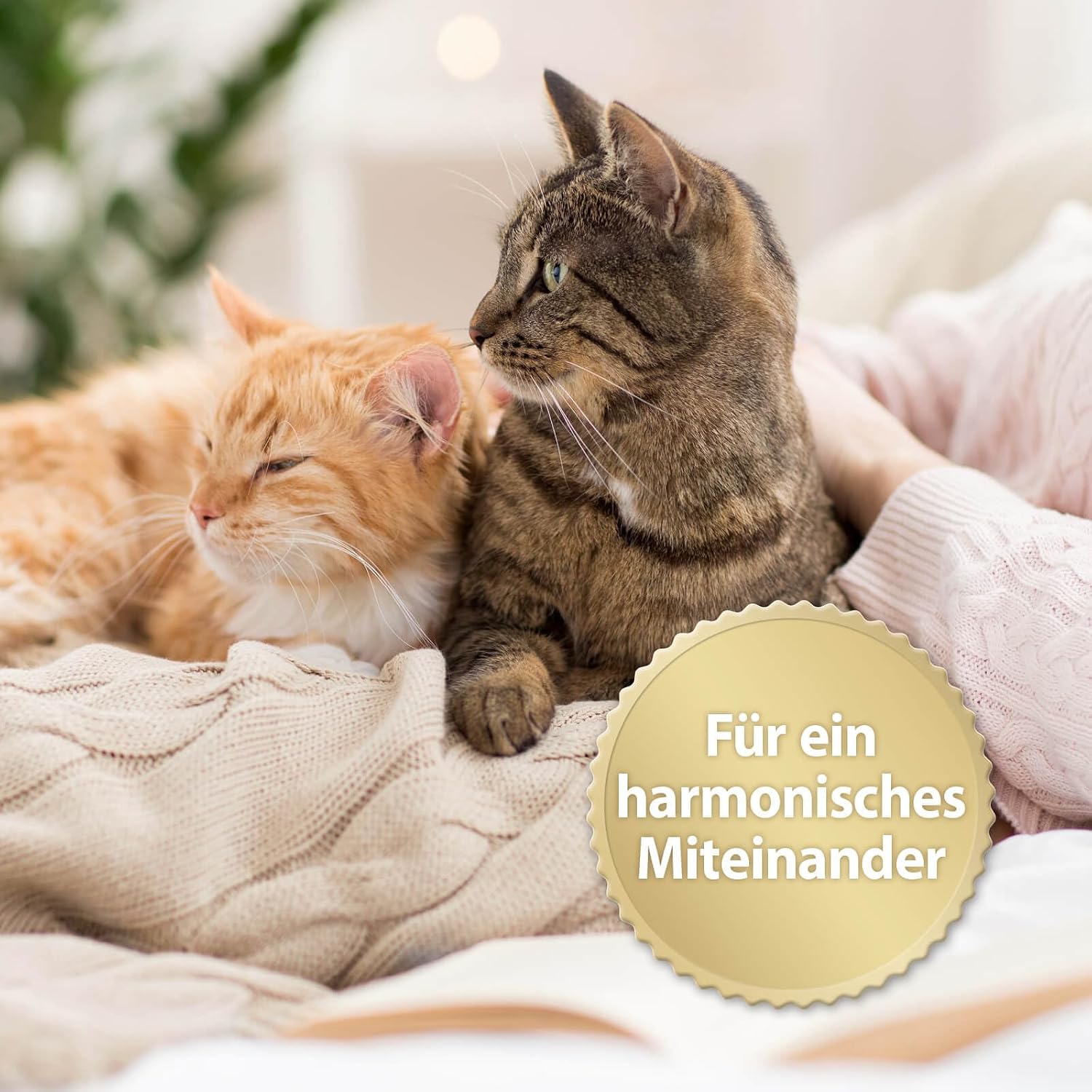 Detalle de Felisept Family Comfort Nachfüllpack 45 ml – Beruhigung mit Katzenminze für Mehrkatzenhaushalte