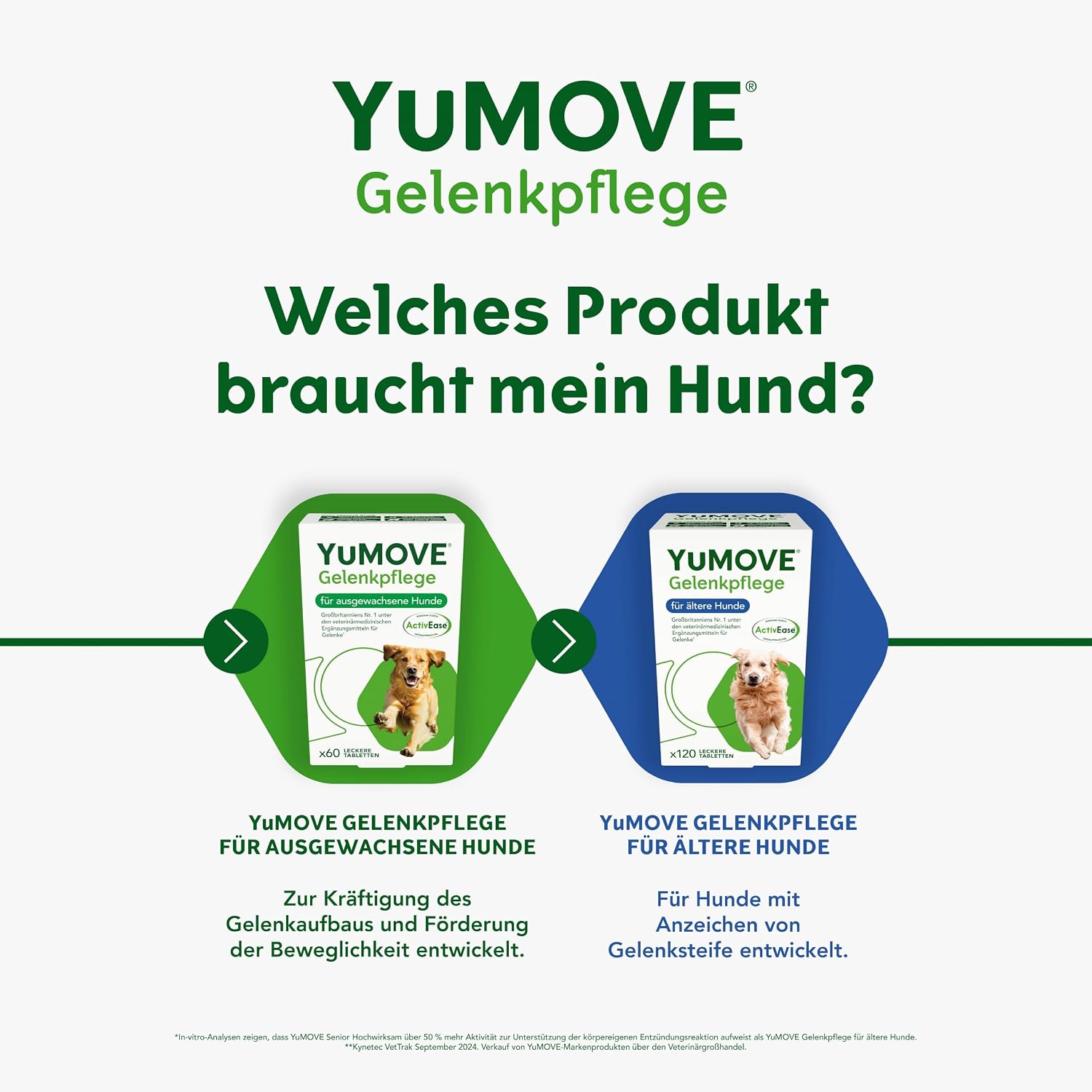 Thumbnail 5 de YuMOVE Gelenktabletten für Hunde 5–8 Jahre (60 Tabletten, 150 mg) mit Grünlippmuschel