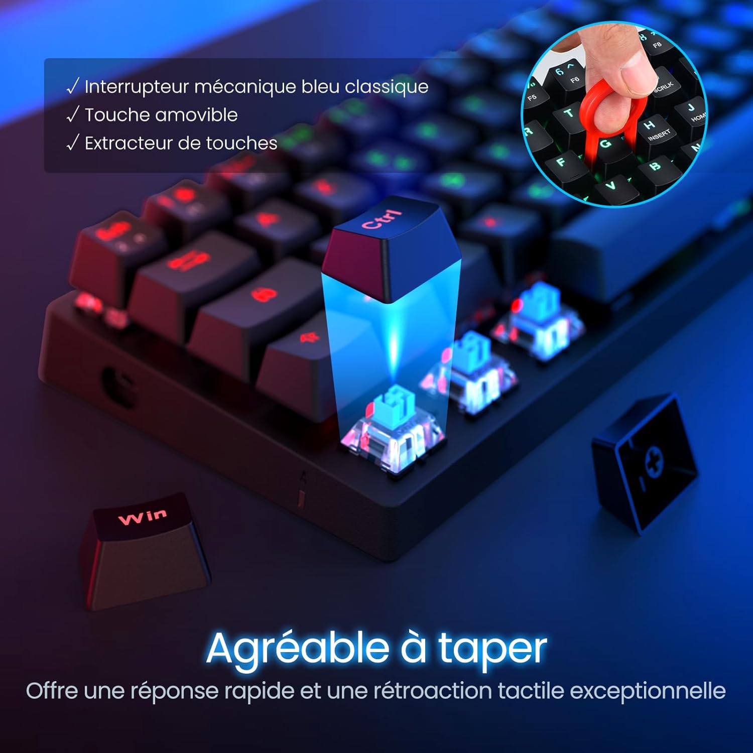 Thumbnail 2 de CACKBIRD Clavier Mécanique Azerty 60% – Switch Bleus, RGB, USB-C amovible, anti-ghosting