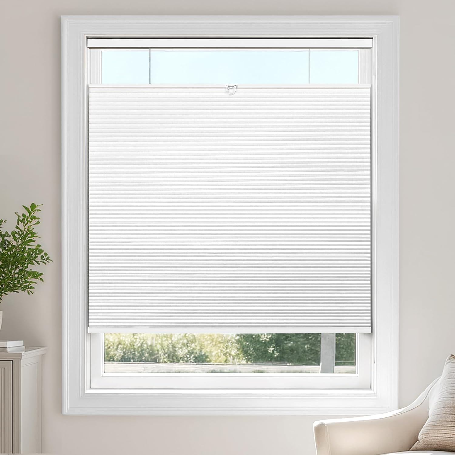 Detalle de LazBlinds Cellular Shade 27" W x 64" H