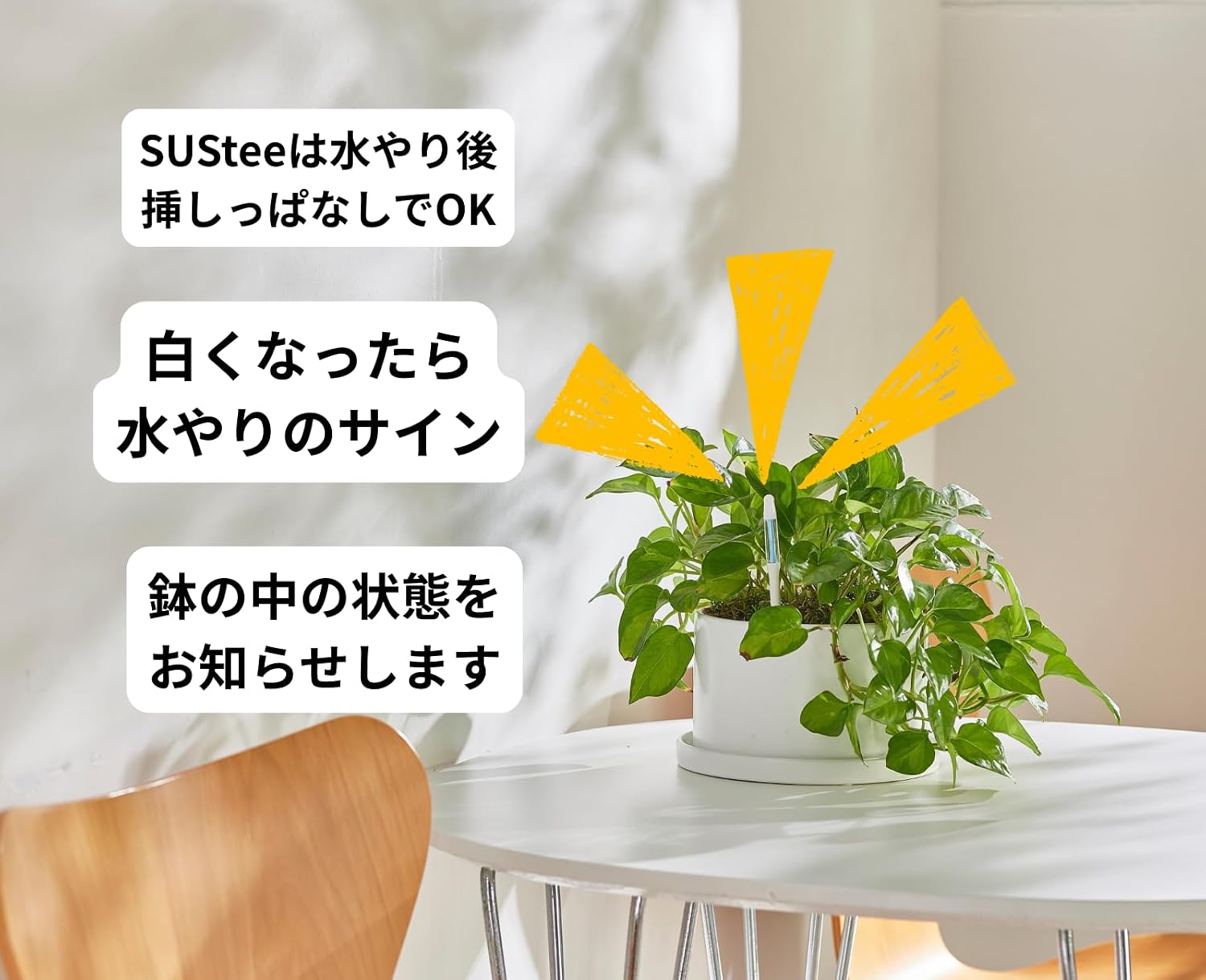 Detalle de Sustee 水やりチェッカー Lサイズ グリーン 5本パック|電池不要・色で水分状態を確認