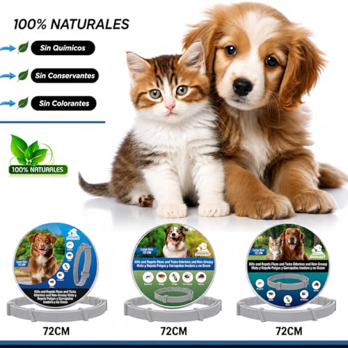 Detalle de Tempotech Collar Antiparasitario Natural para Perro – 100% Natural, hasta 8 Meses, 70 cm