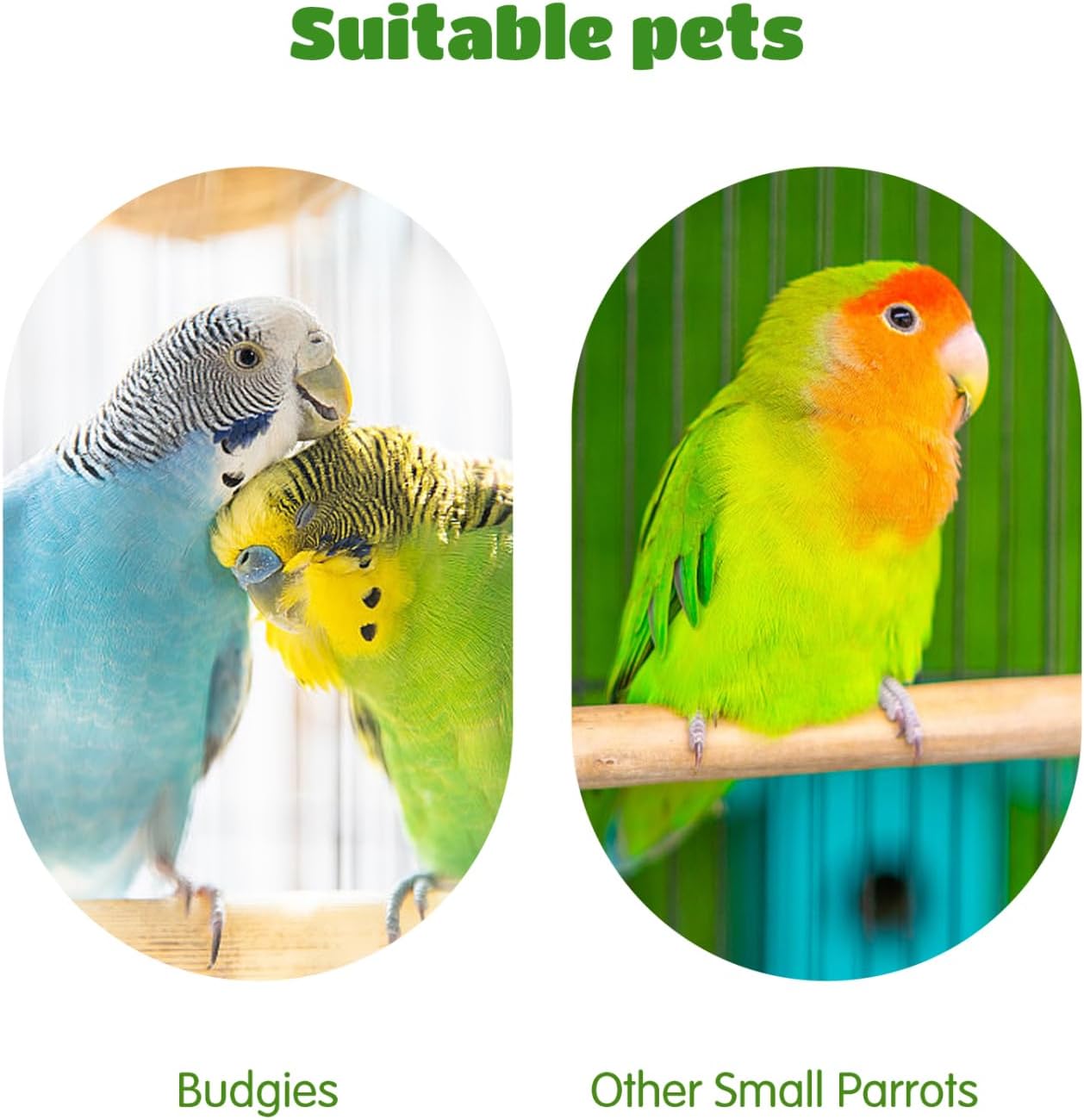 Thumbnail 5 de Nobleza cibo per pappagallino 500 g: mangime premium multicereali per piccoli uccelli