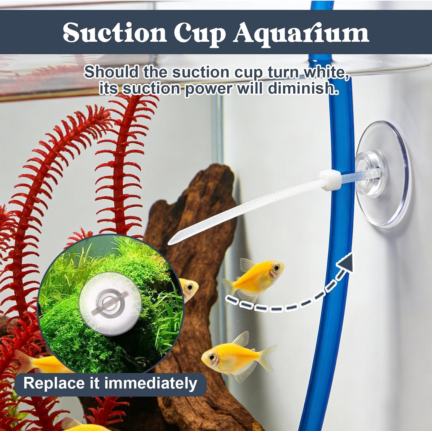 Thumbnail 6 de 40 Pcs Aquarium Suction Cups with 40 White Cable Ties – Practical Set for Tank Accessories