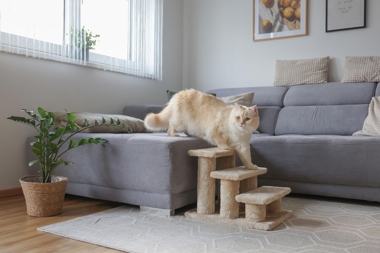 Detalle de KERBL PET Scala Easy Climb 2.0 per letto e divano, 45x35x34 cm