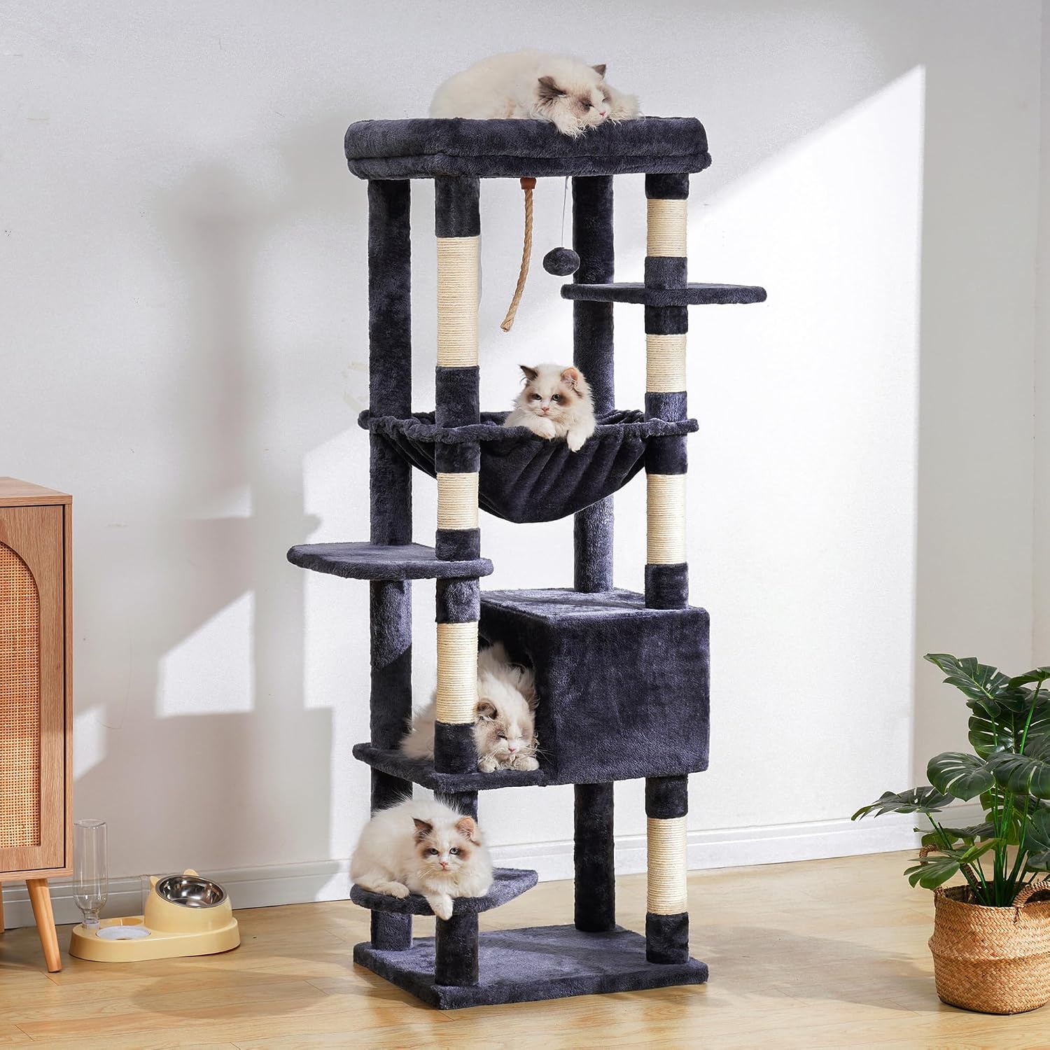 Thumbnail 1 de Heybly Arbre à chat XXL 152 cm pour gros chats jusqu’à 9 kg (HCT050G)