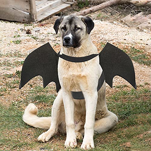 Thumbnail 4 de RANYPET Dog Bat Wings XL dog costume ðŸŽ