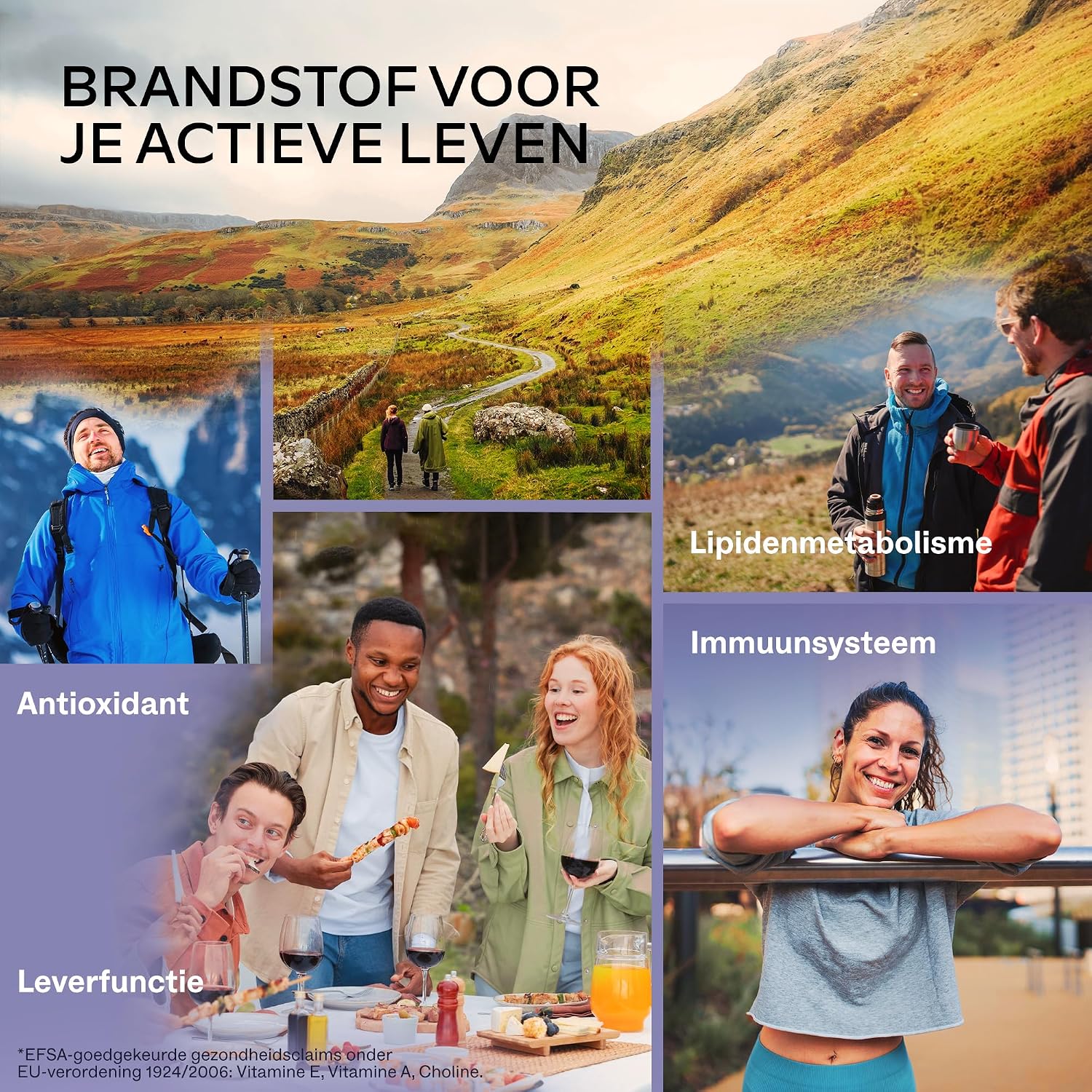 Detalle de AAVALABS Mariadistelcomplex, 120 tabletten met 80% silymarine en kruidenmix