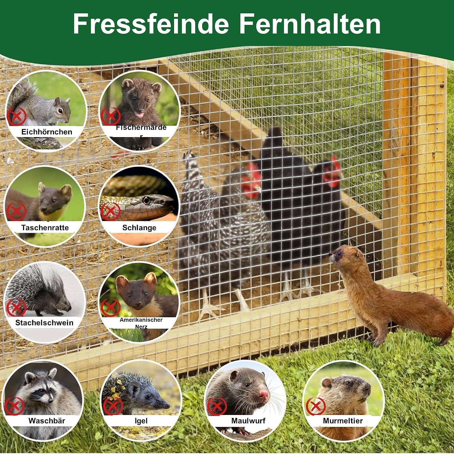 Thumbnail 6 de Amagabeli 1,0 x 25 m Hasendraht 100 cm Volierendraht mit 12,7 mm Maschenweite