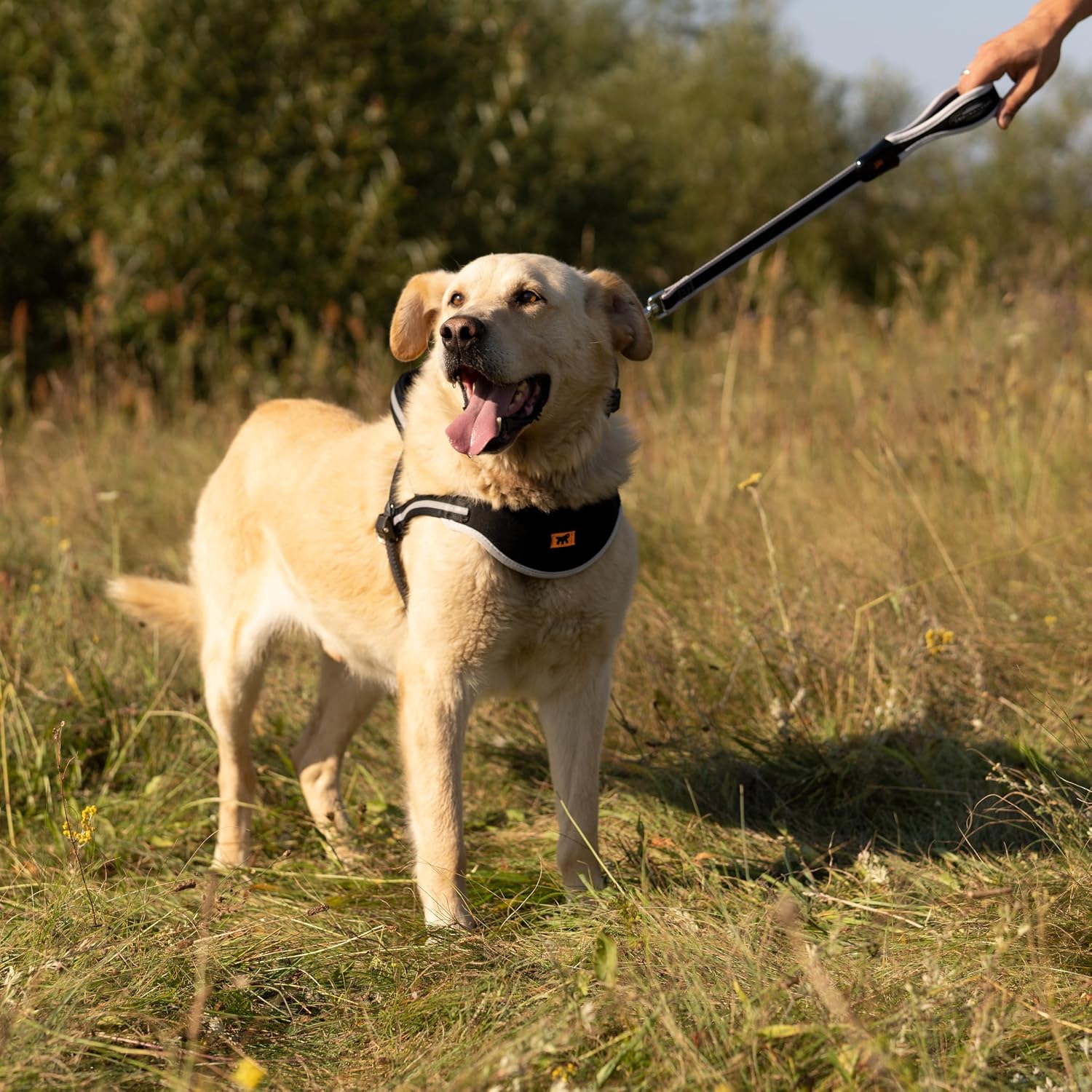 Detalle 2 de Ferplast ERGOCOMFORT Laisse courte 55 cm 🐕
