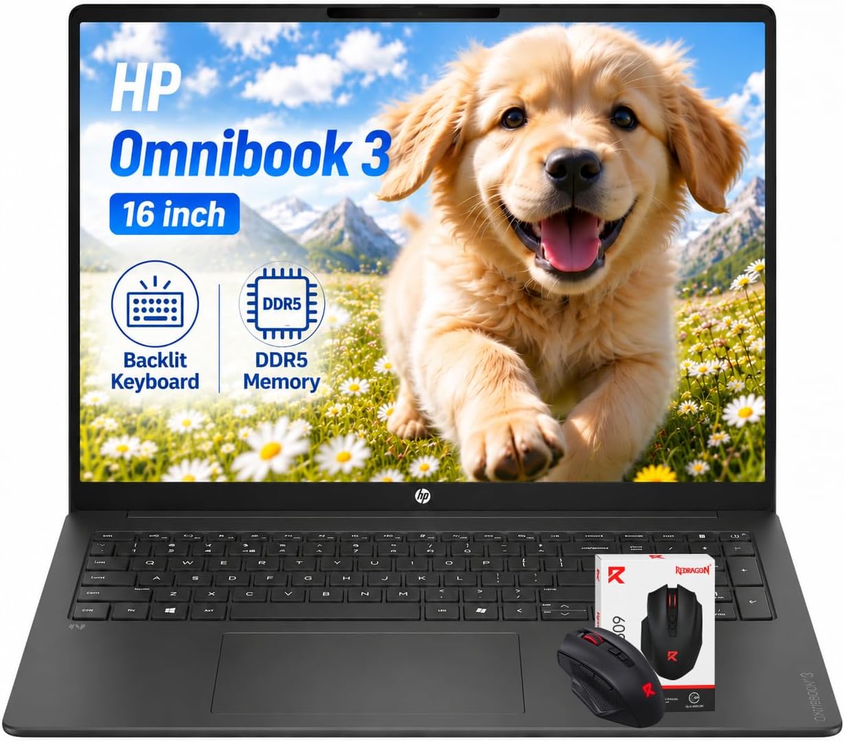 Detalle de HP Laptop with Snapdragon X