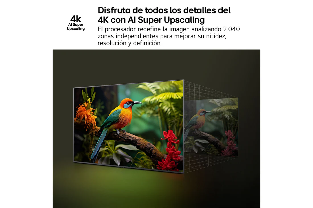 Detalle de LG QNED84 50" 4K AI (50QNED84A6C.OUTLET) – Outlet LG ES