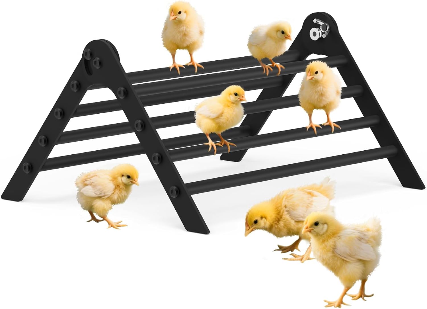 Giyiprpi Adjustable Metal Chicken Perch 8-roots 🐔