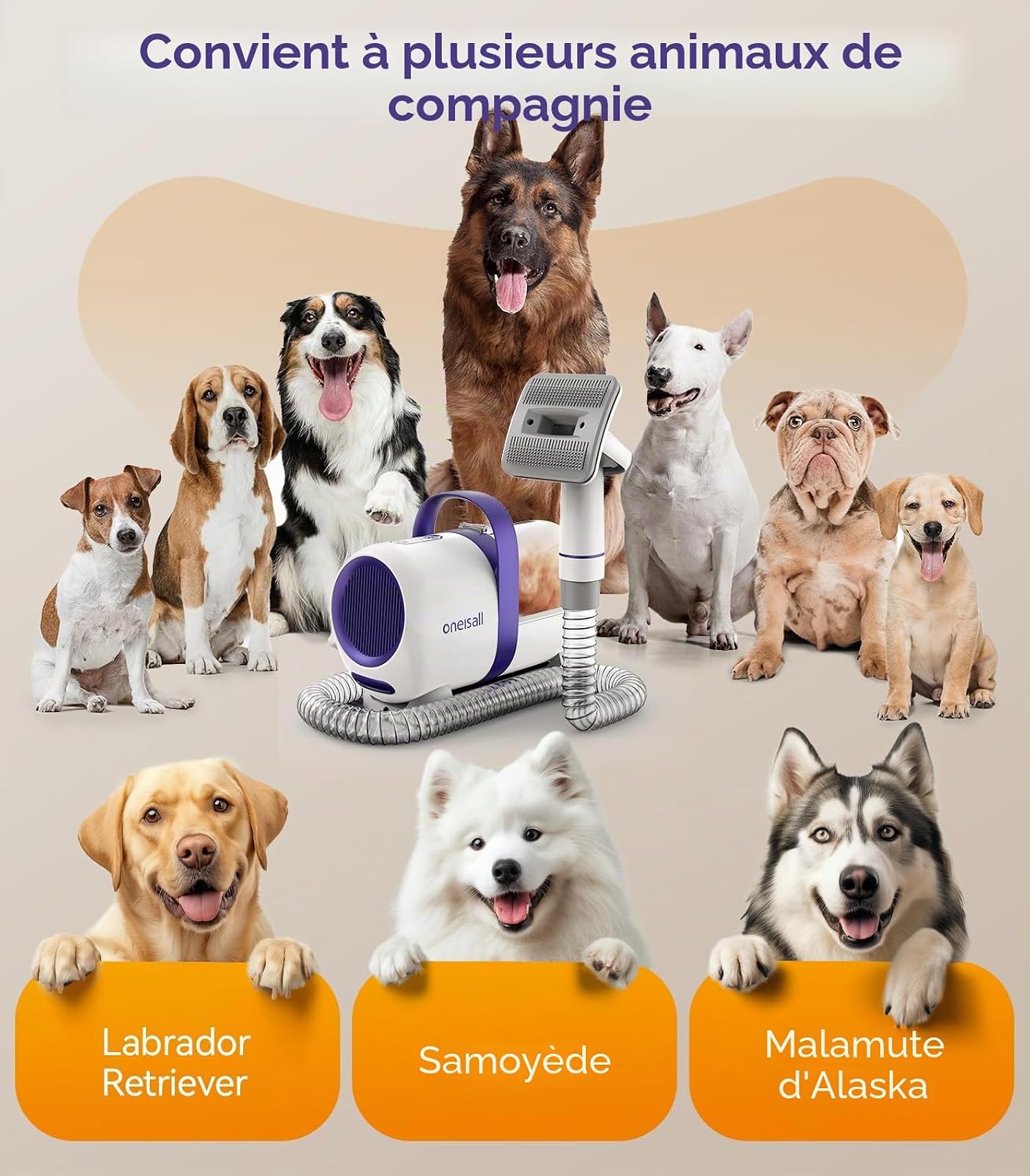 Detalle 2 de Oneisall Aspirateur pour Chiens avec Brosse — 4 en 1, silincieux et pratique