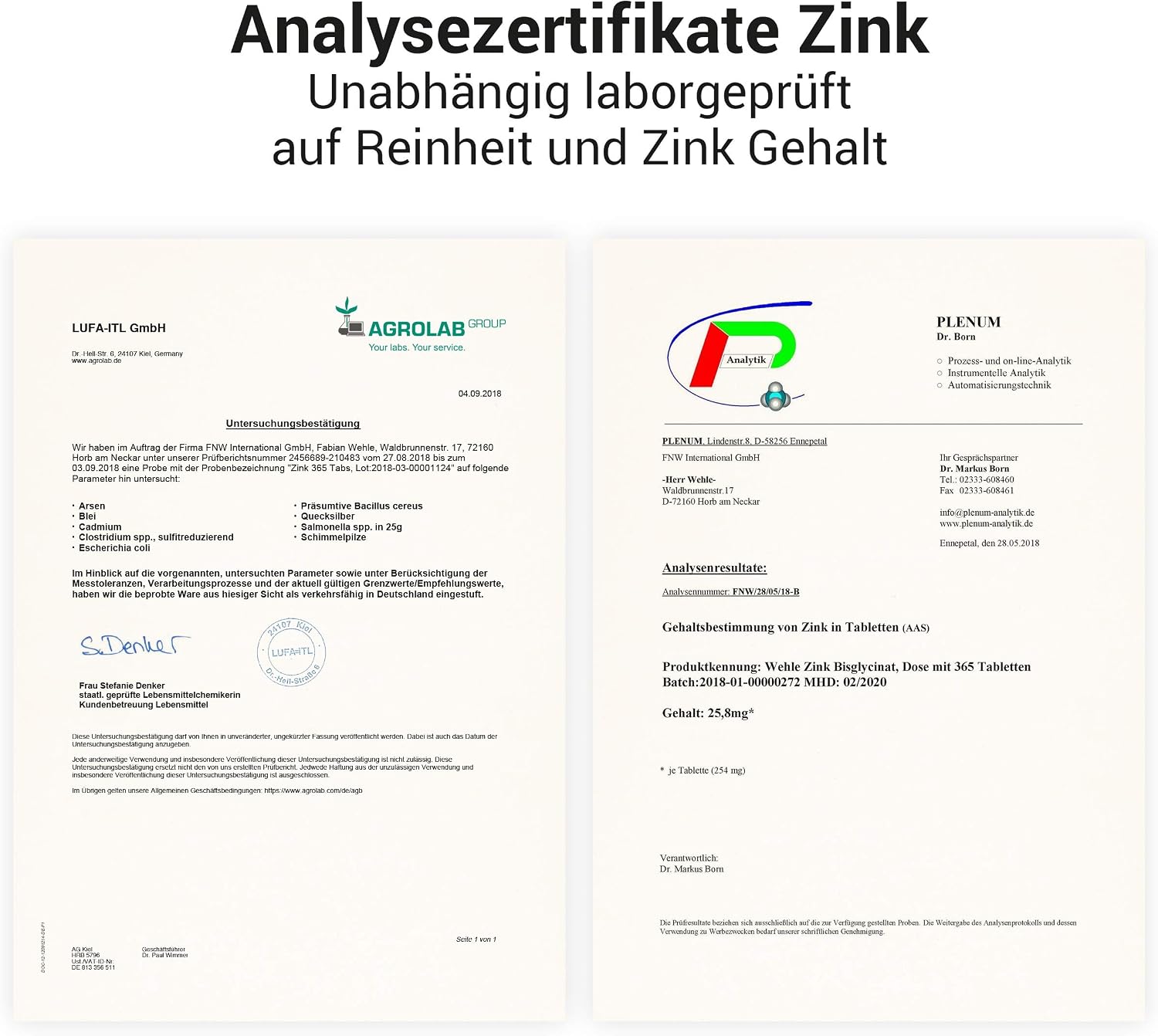 Thumbnail 5 de Wehle Zink Tabletten 365 hochdosiert 25 mg