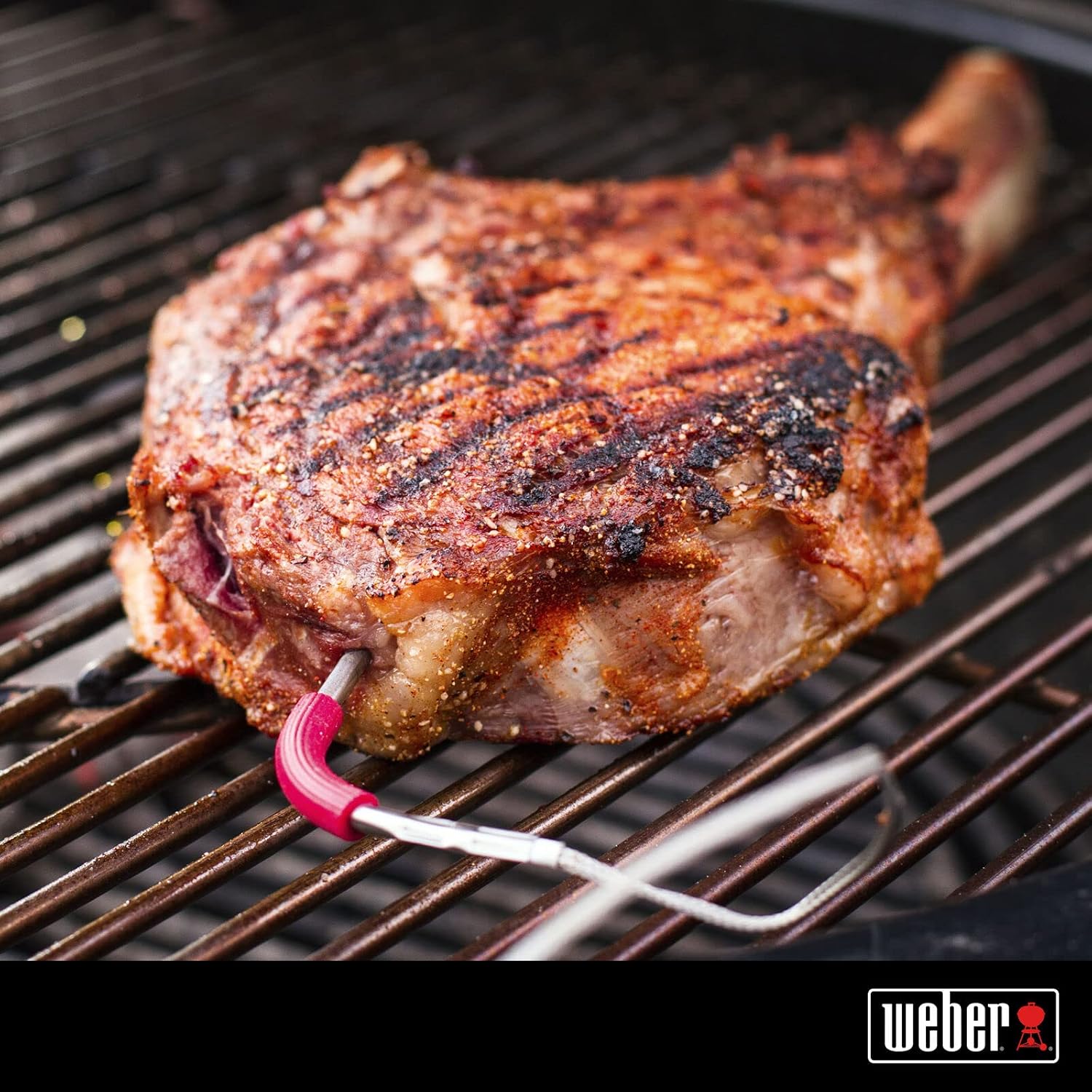 Detalle de Weber sonde de température pour viande – compatibilité iGrill et Weber Connect