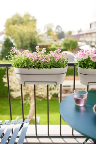 Thumbnail 6 de Elho Vibia Campana jardinera 50,4 cm Blanco