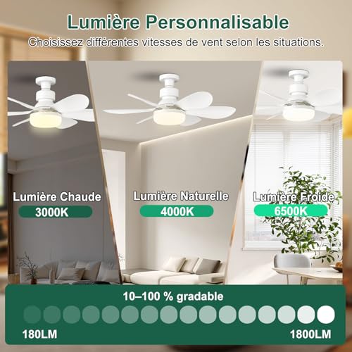 Detalle 2 de Ventilateur de Plafond avec Lumière et Télécommande 52 cm — FIBRAVE