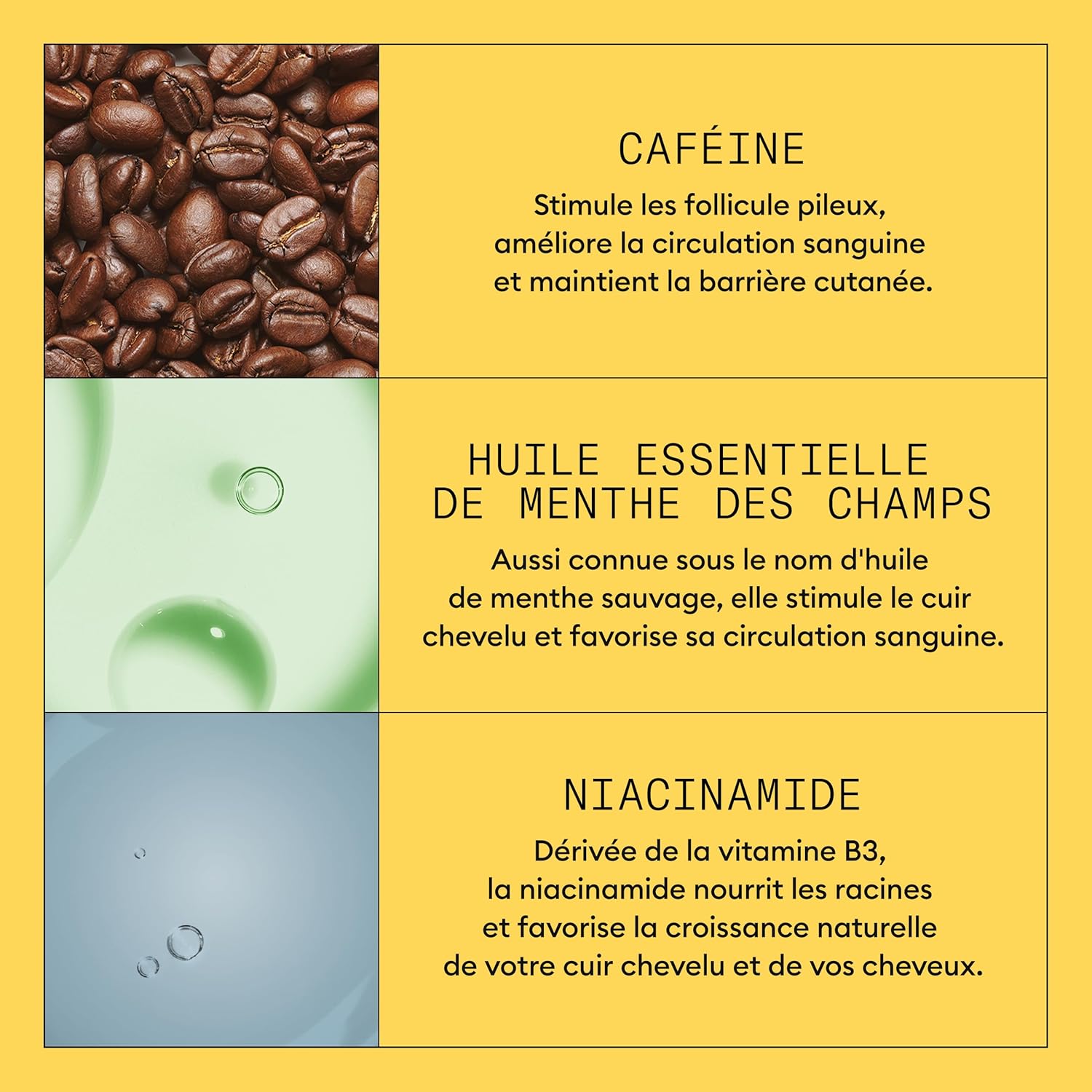 Thumbnail 4 de NIOXIN System 1 – Kit soin cuir chevelu (shampoing, après-shampoing, soin sans rinçage) pour cheveux naturels à chute modérée