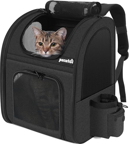 Pecute Sac à Dos Respirant pour Chat et Petit Chien Noir
