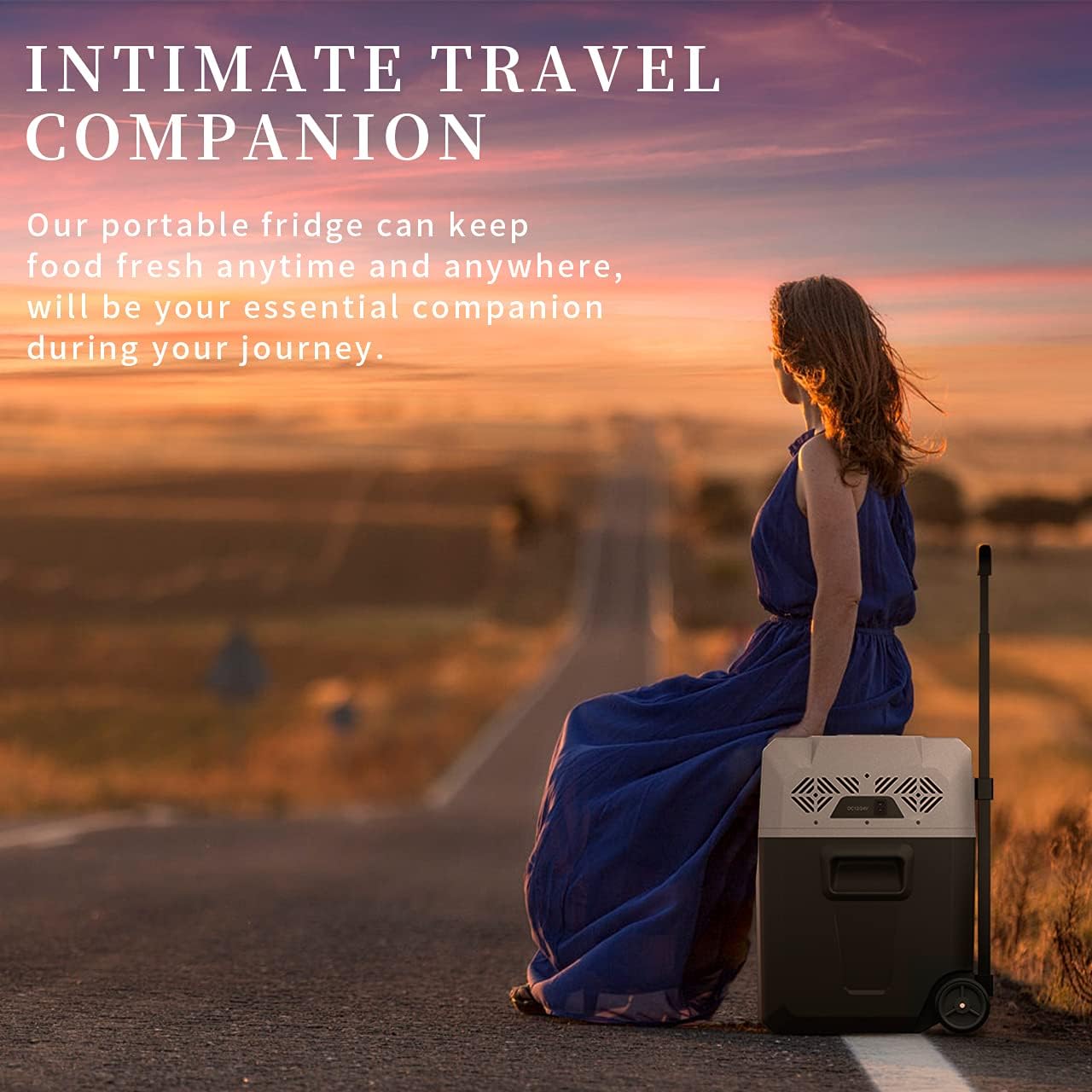 Thumbnail 6 de Alpicool CX50 50L Compressor Car Refrigerator: Portable 12V/AC Fridge Freezer for Road Trips