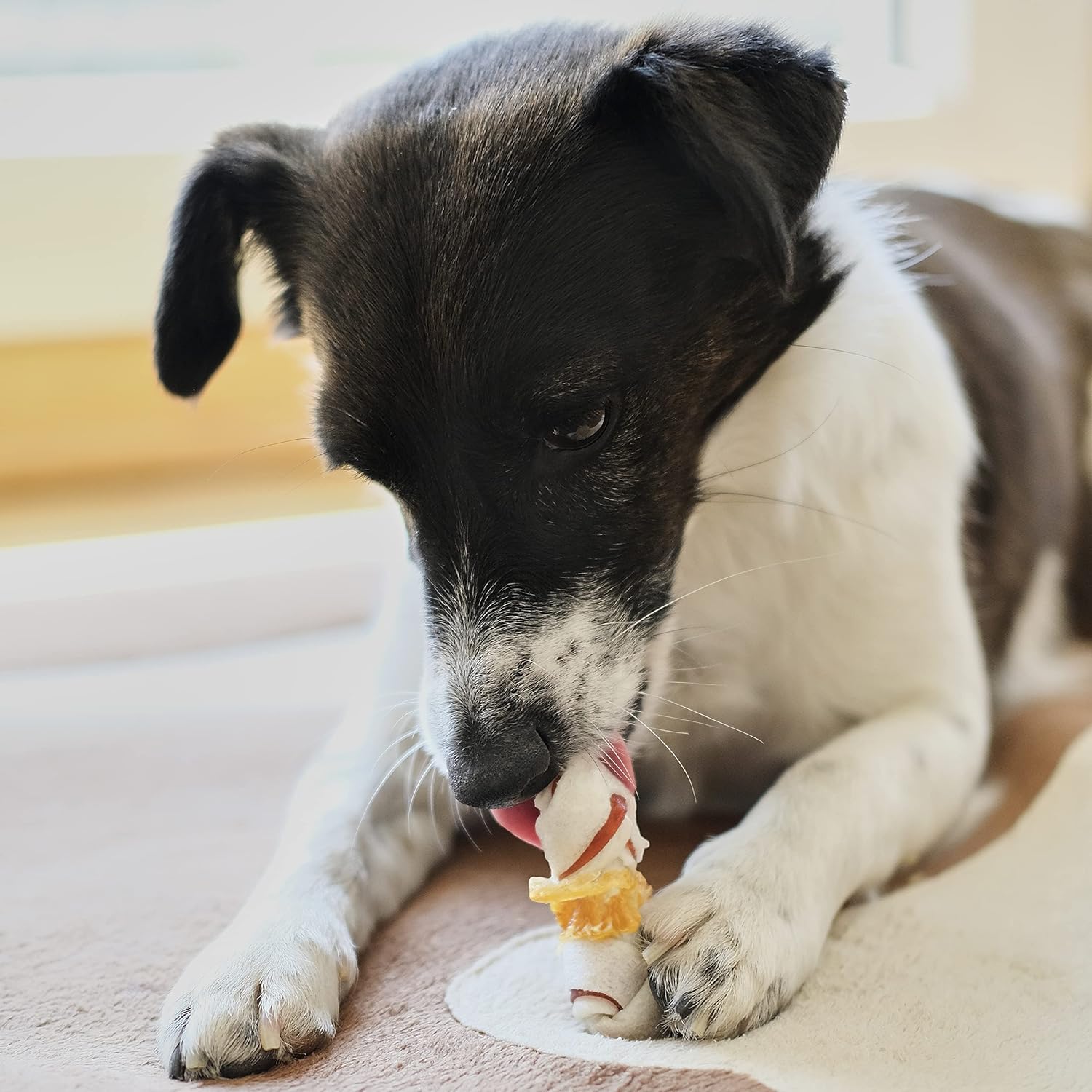 Thumbnail 5 de 8in1 Triple Flavour Bones XS - Deliziose ossa per cani di taglia toy