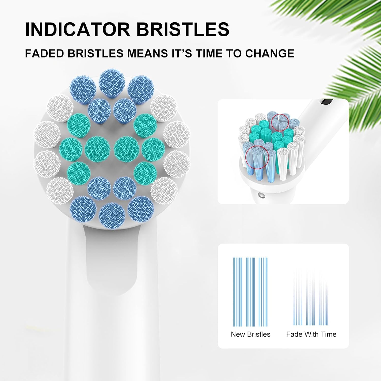 Thumbnail 3 de SetSail Toothbrush Heads 8-Pack replacement brush heads 🪥