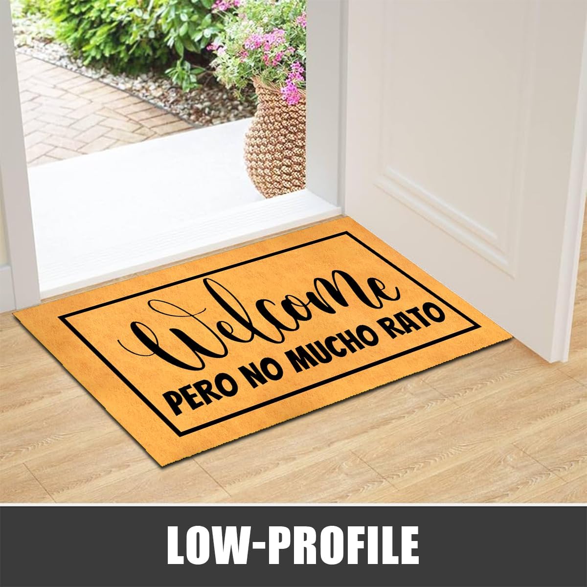 Detalle 1 de MELODADDY Doormat 30 x 18 inches