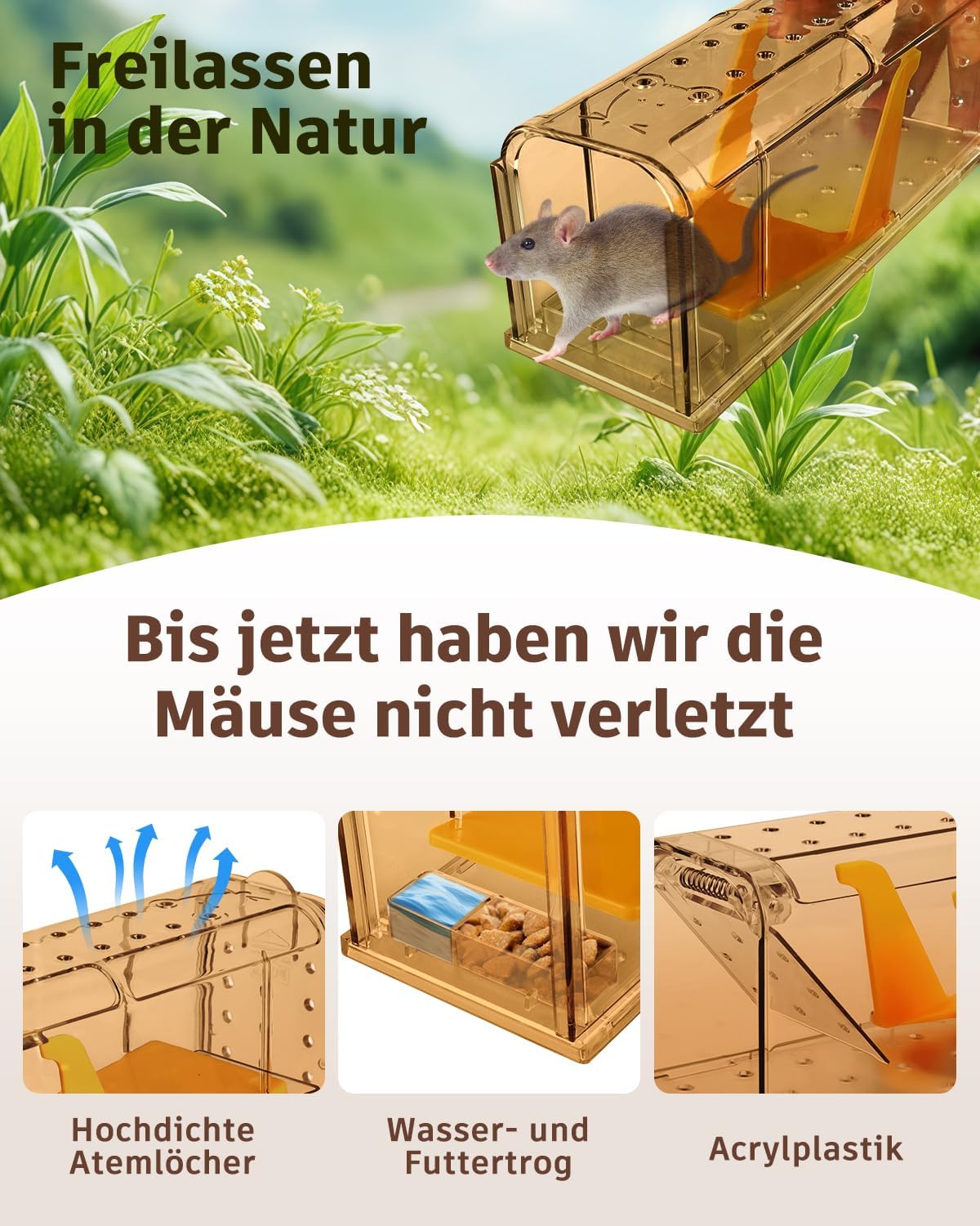 Detalle 1 de KENNEAS Mausefalle Lebend 2er Pack 7×7,2 cm