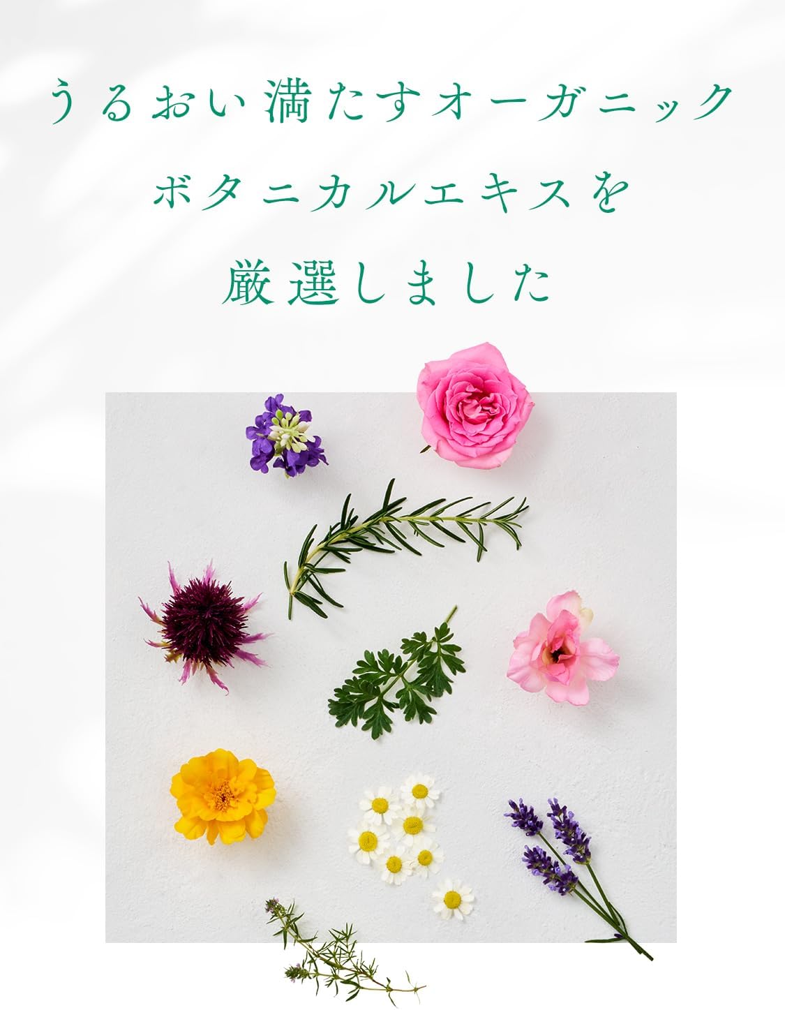 Detalle 2 de ダイアンボタニカル リフレッシュ&モイスト ボディソープ シトラスサボン 詰め替え 720ml
