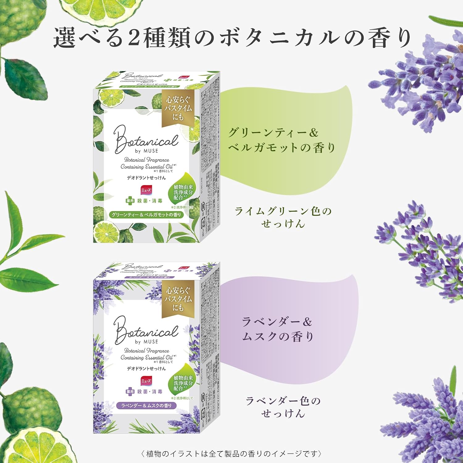 Detalle de ミューズ ボタニカル ラベンダー 固形せっけん 4個セット|ラベンダー&ムスクの香り