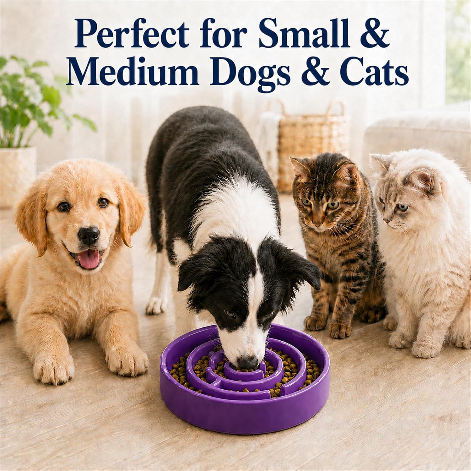 Thumbnail 2 de Ceramic Slow Feeder Dog Bowl, 1.5-Cup Capacity