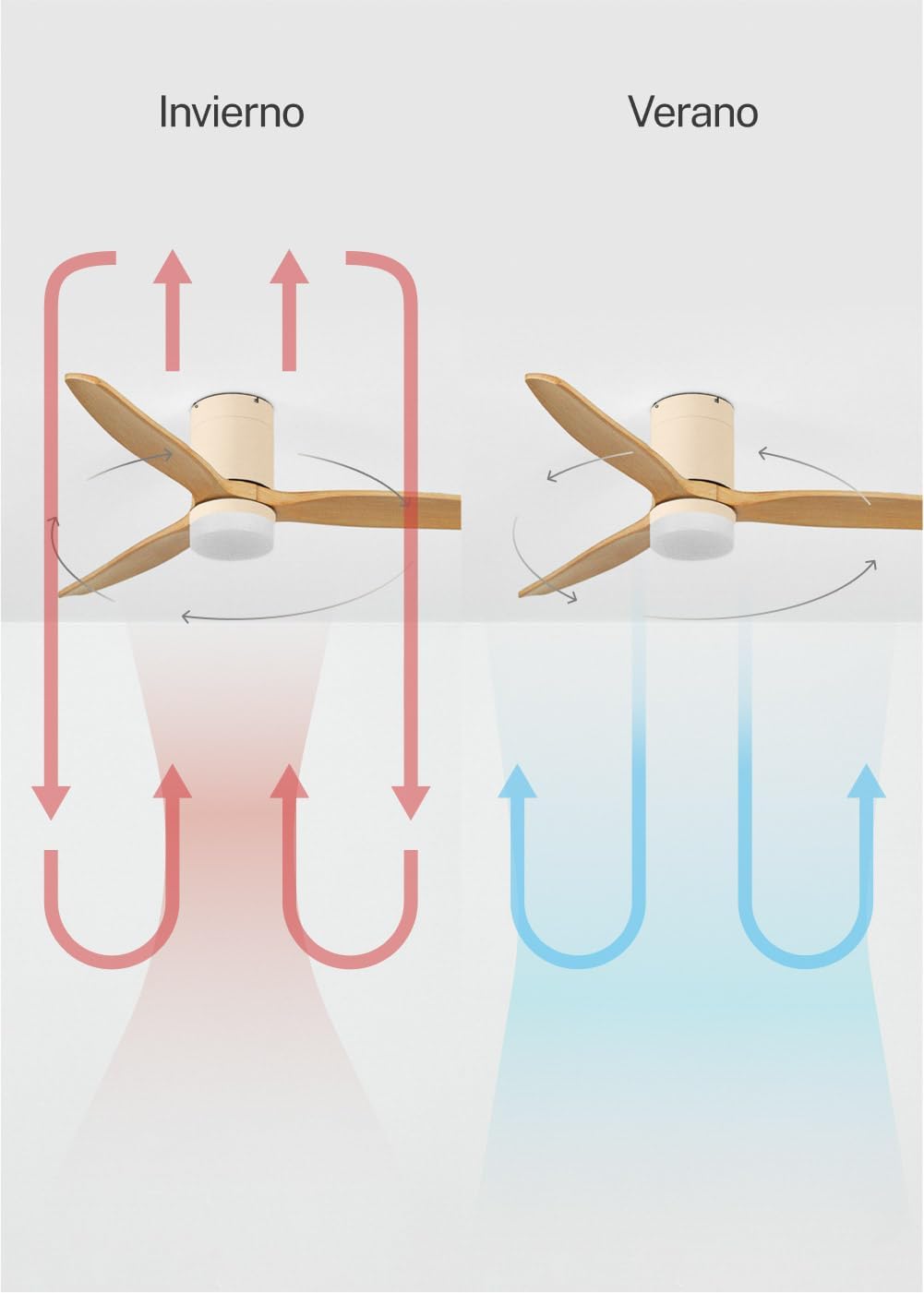 Thumbnail 5 de CREATE / WINDCALM Ventilador de techo Ø132 cm