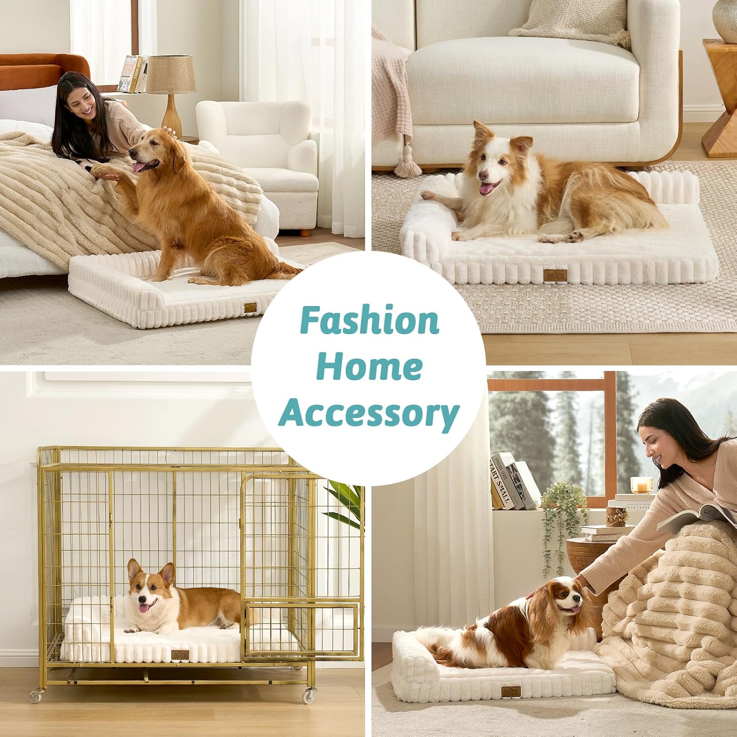 Thumbnail 2 de COZY KISS Orthopedic Dog Bed for Medium Dogs