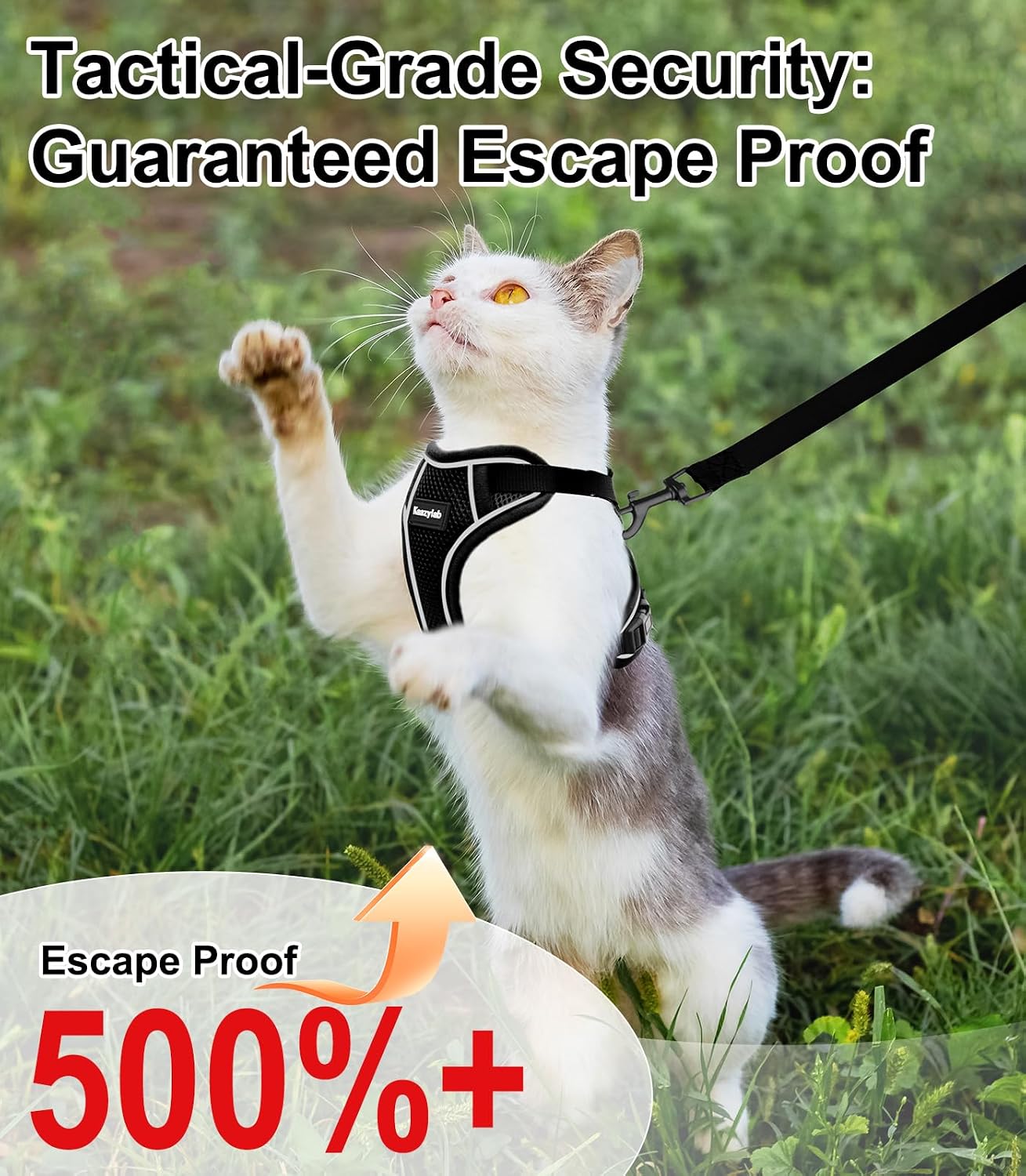 Detalle de Cat Harness and Leash S breathable adjustable vest 🐾