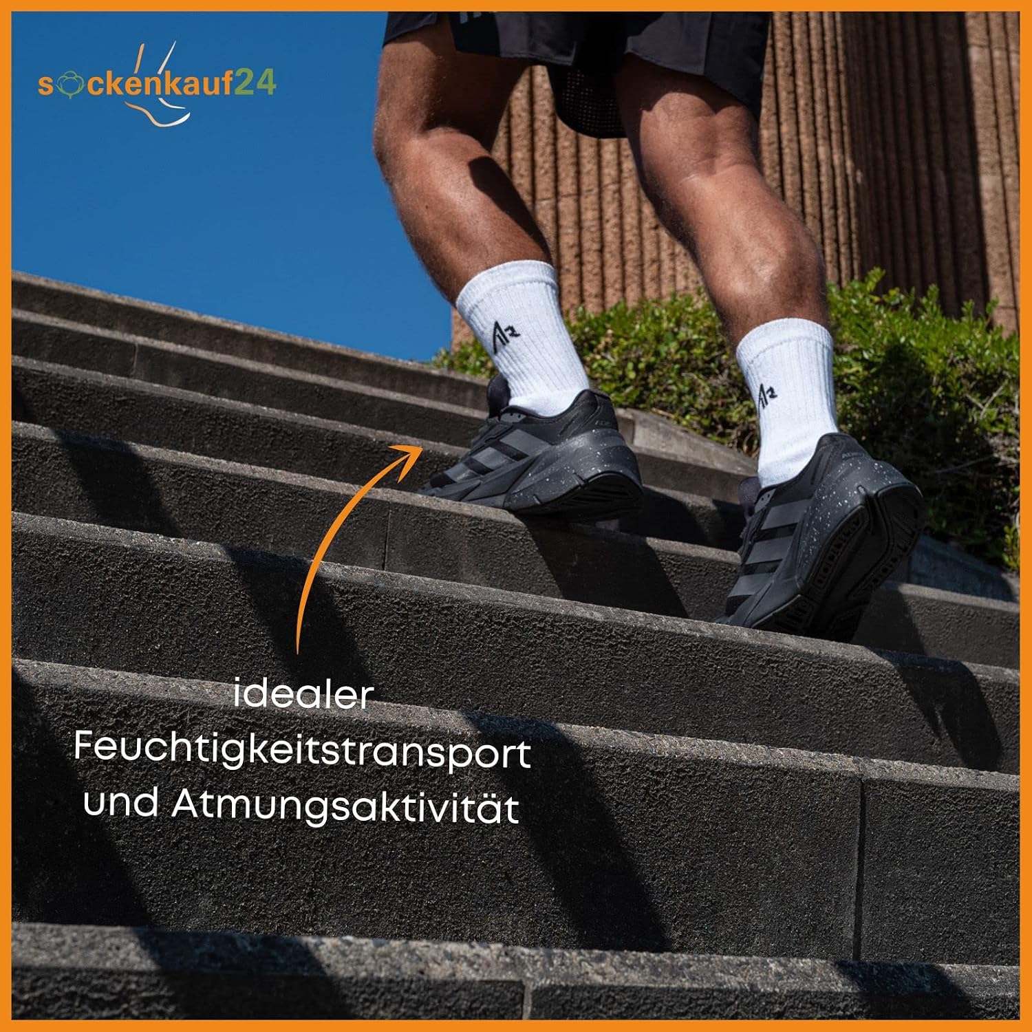 Detalle de sockenkauf24 i1R Sportsocken 10 Paar