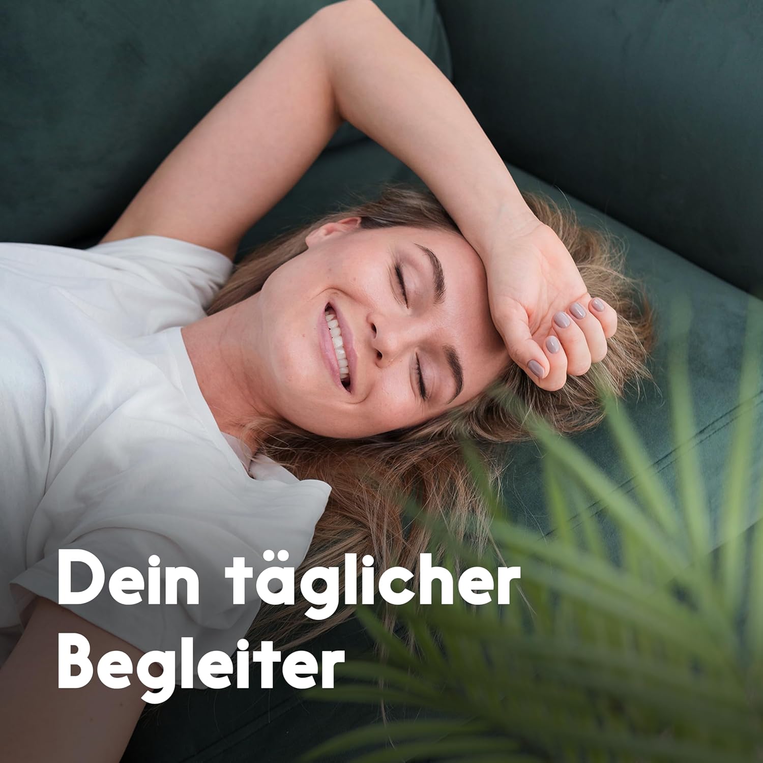 Detalle 2 de Ashwagandha Kapseln 365 vegan, 2600 mg täglich