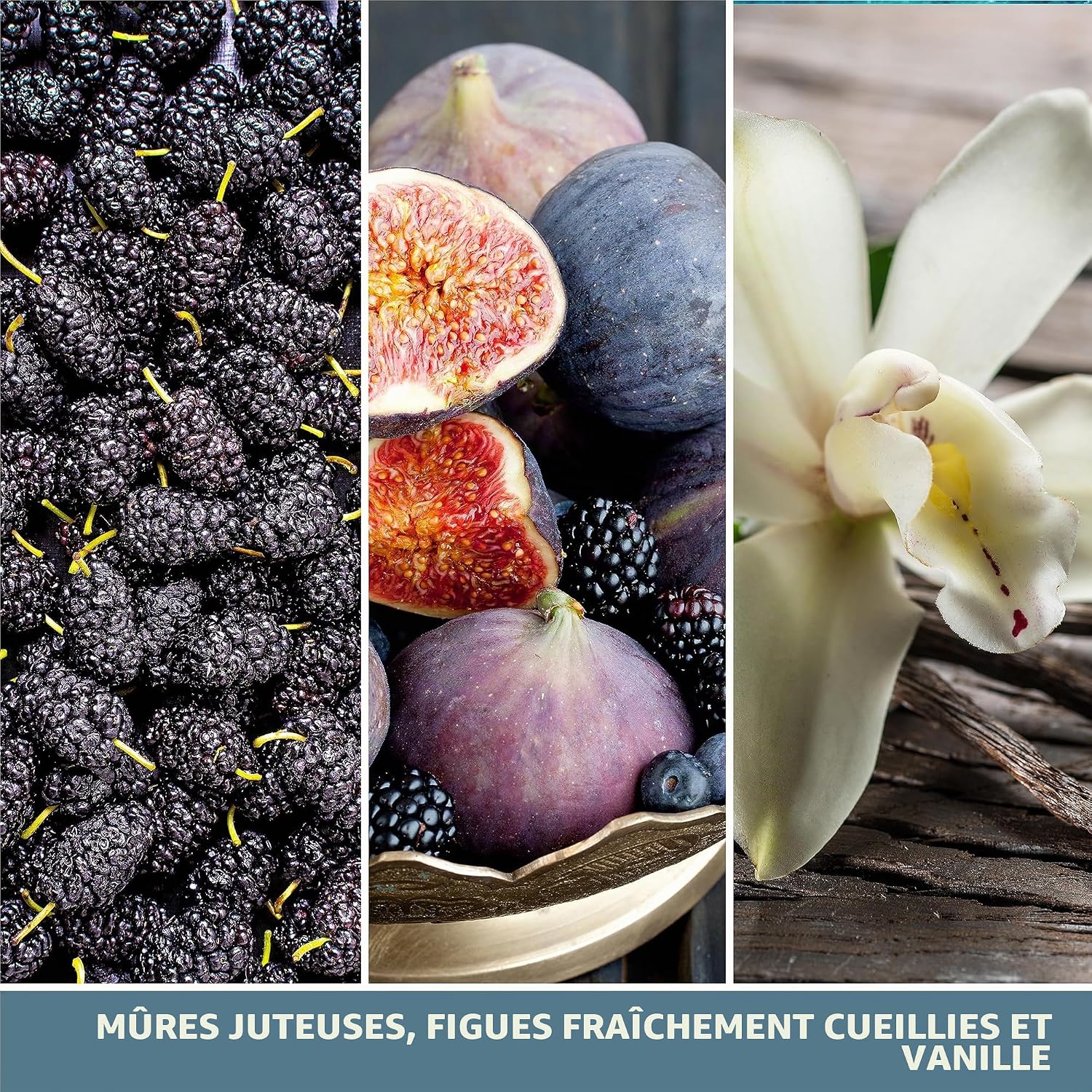 Detalle 2 de Yankee Candle bougie parfumée Figues et mûres gourmandes – format jarre, longue durée