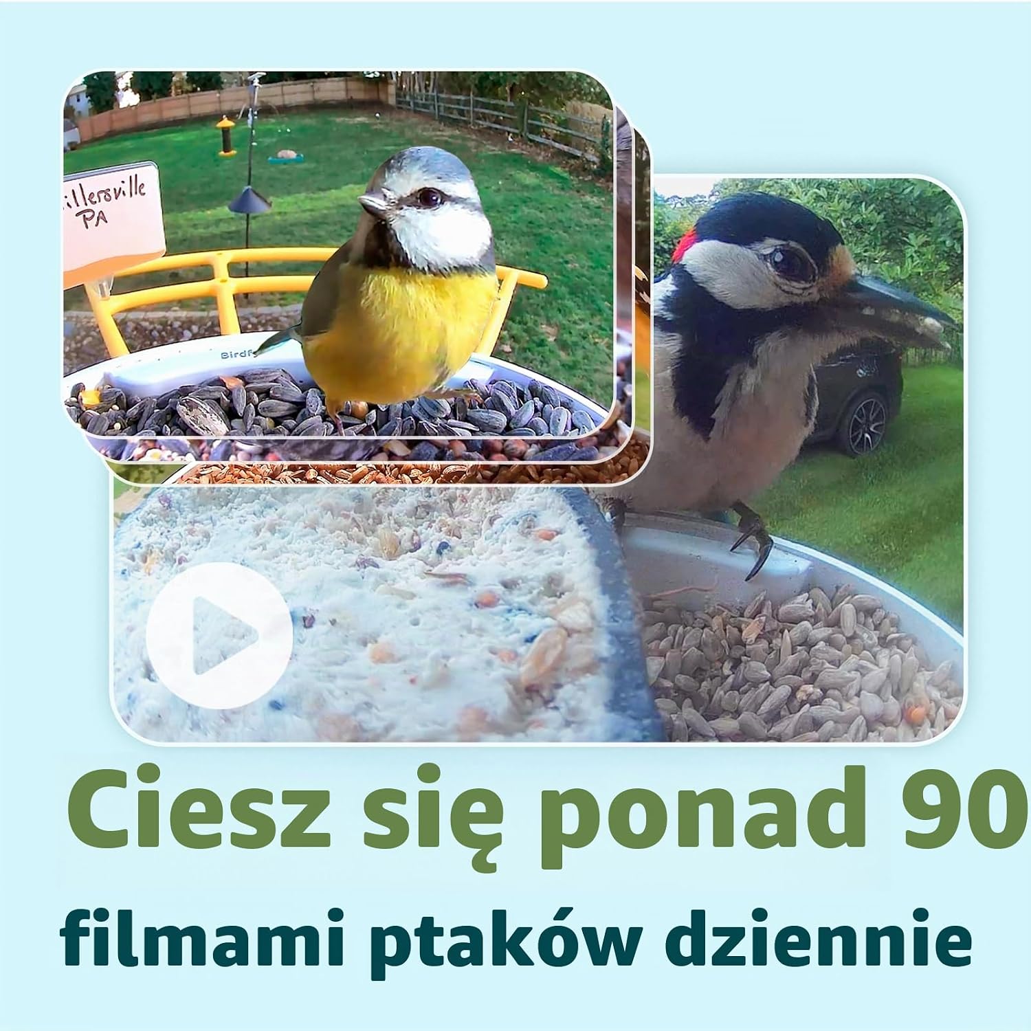 Detalle de NETVUE EAMZ-4061-LSPB karmnik dla ptaków z kamerą 1080p i panelem słonecznym