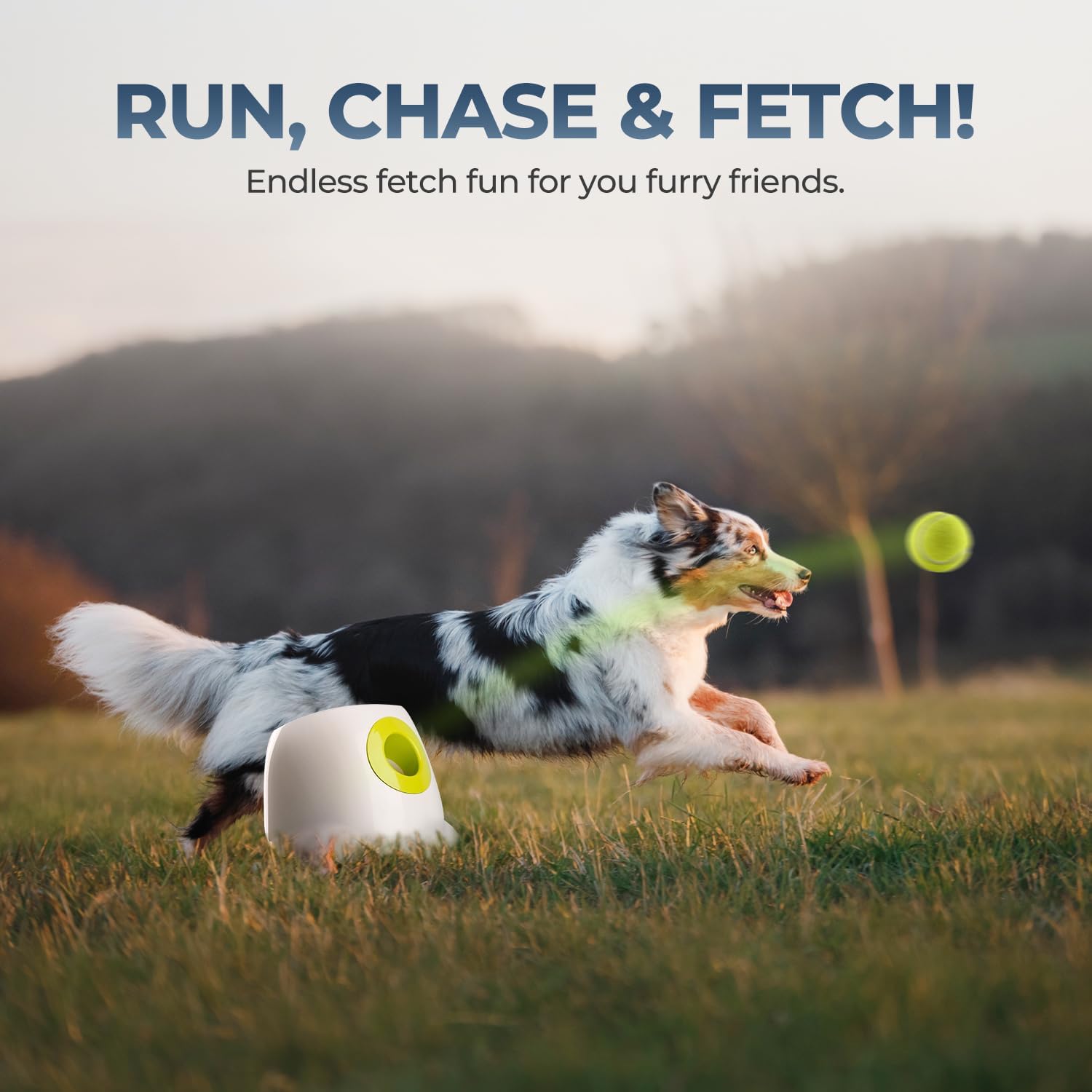 Thumbnail 4 de ALL FOR PAWS Automatic Dog Ball Launcher 40 ft