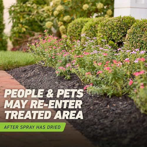 Thumbnail 12 de Ortho GroundClear Weed & Grass Killer with Comfort Wand, 1 gal