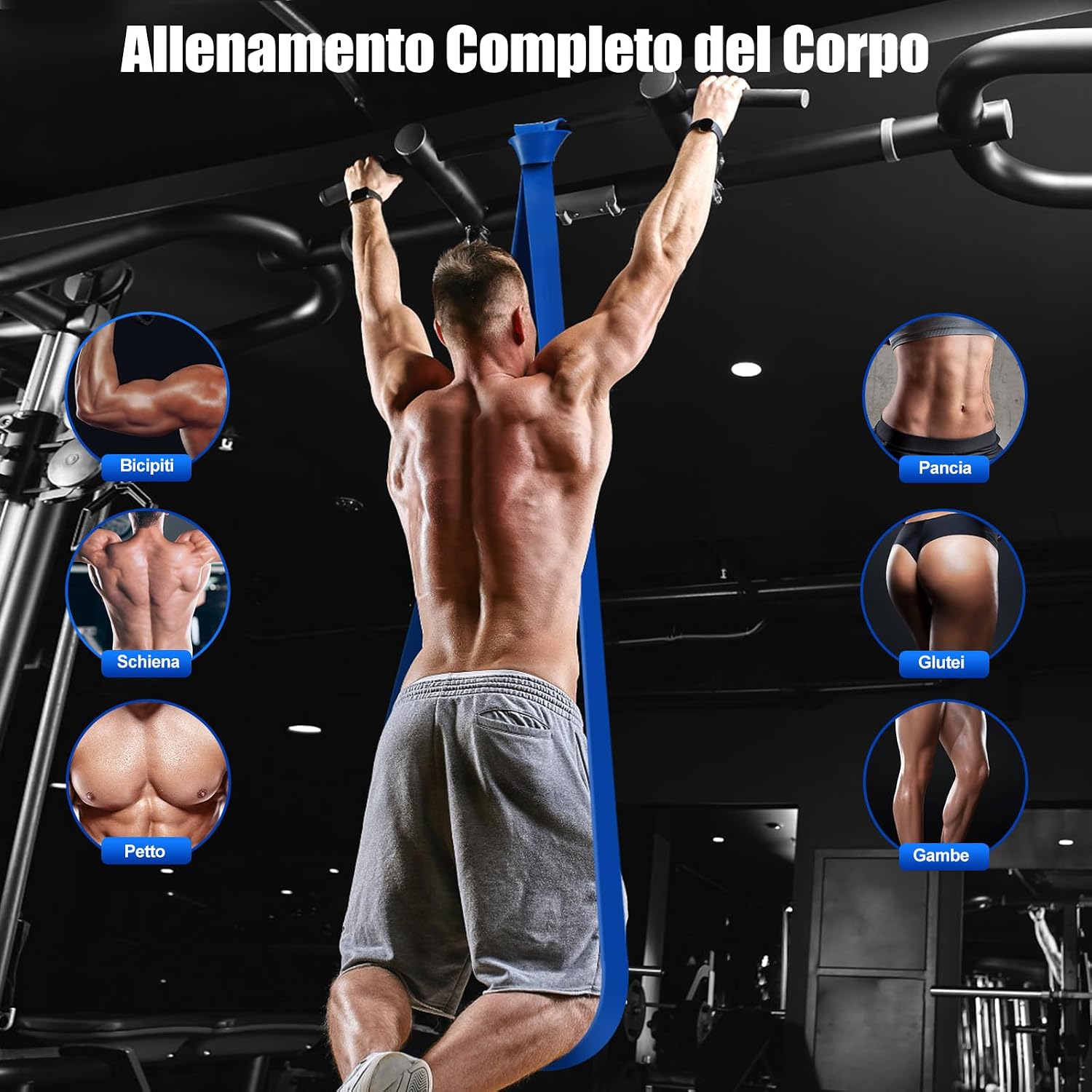 Detalle de Fokky elastici fitness 5 livelli 125 lbs