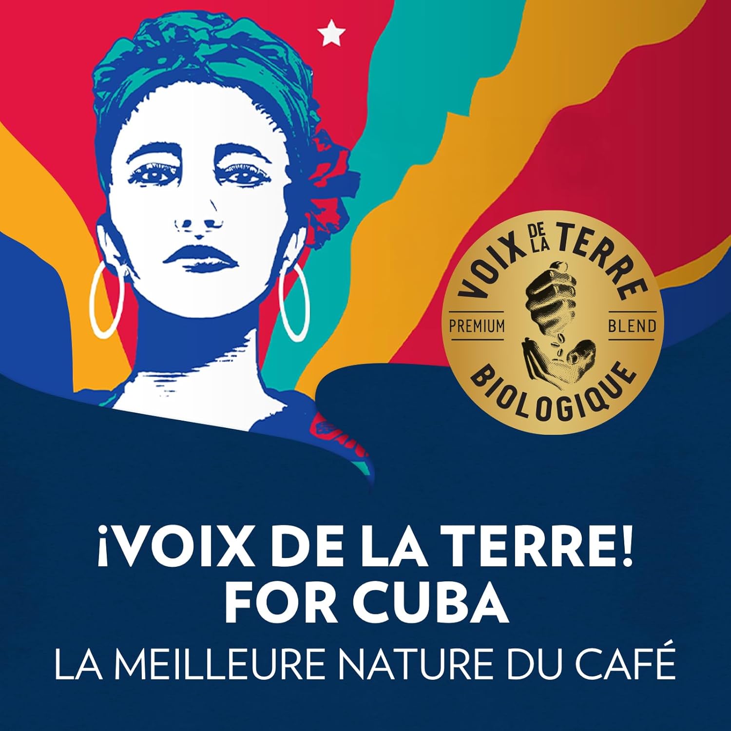 Detalle 2 de Lavazza Voix de la Terre 4x500g café