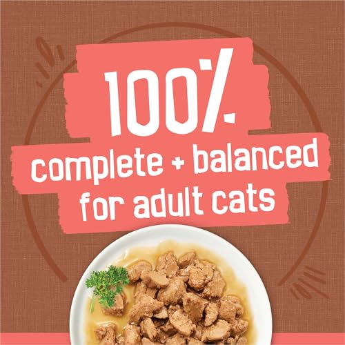 Detalle 2 de Purina Friskies Extra Gravy Wet Cat Food Chunky Variety Pack (Chicken, Turkey, Salmon, Beef) — 24x5.5 oz Cans