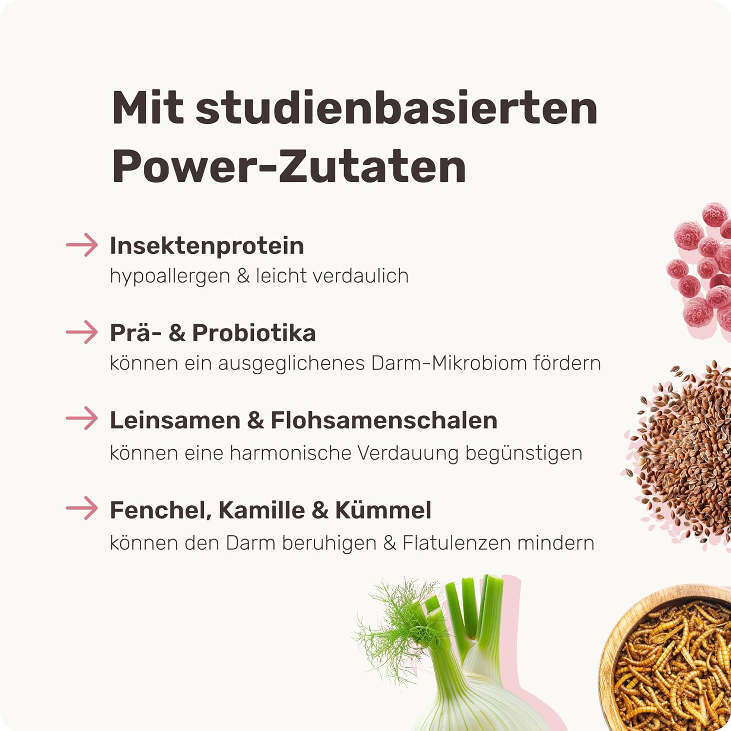 Detalle de 9‑in‑1 Probiotika für Deinen Hund – Lucky Belly von mammaly, Hypoallergen, ohne Huhn, 120 Drops (350 g)