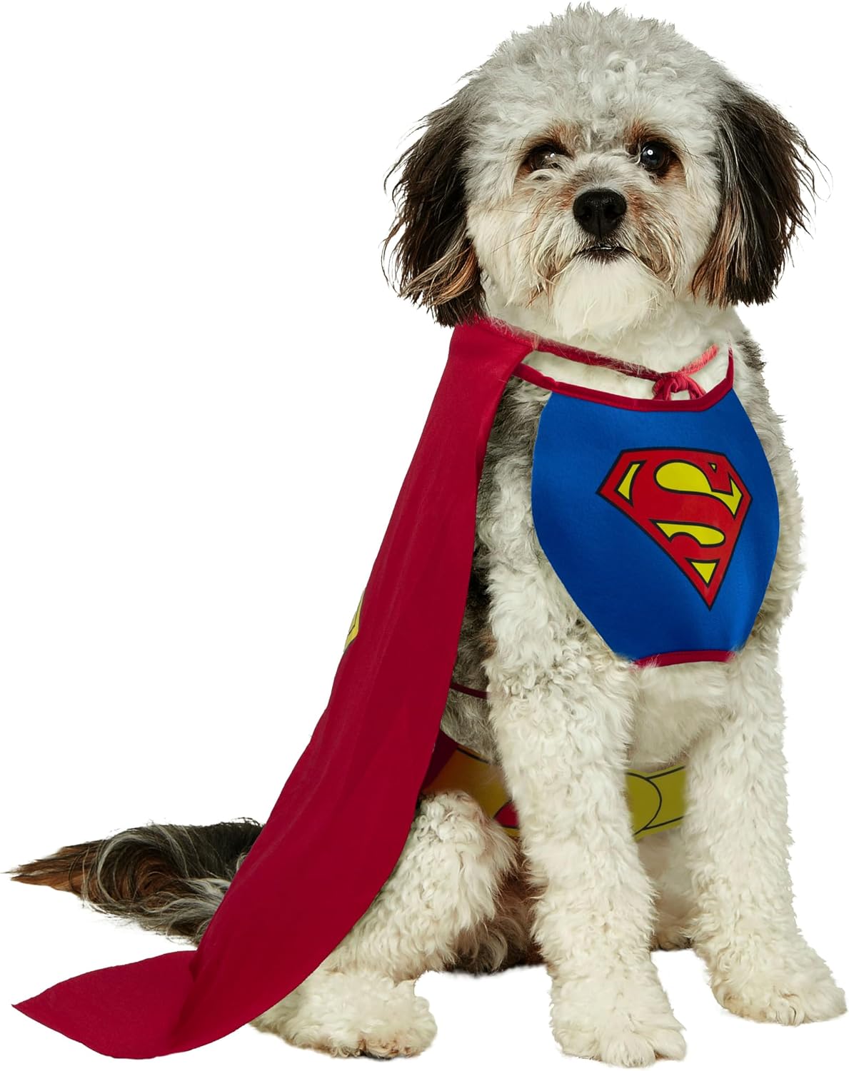 Thumbnail 5 de Rubies Superman pet costume Medium