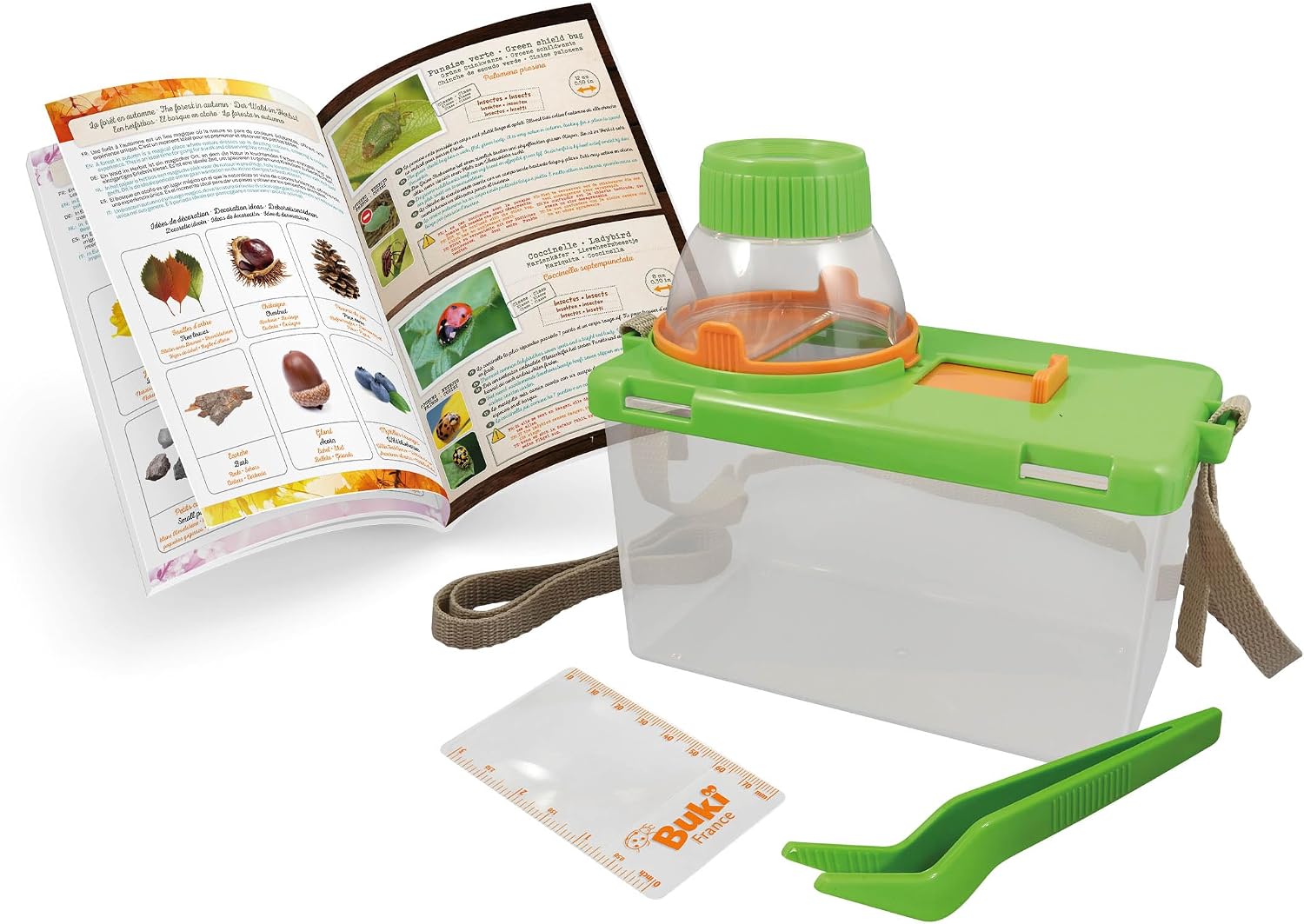 Detalle de BUKI BL034 – Terrarium: Beobachtungs-Set für kleine Lebensräume