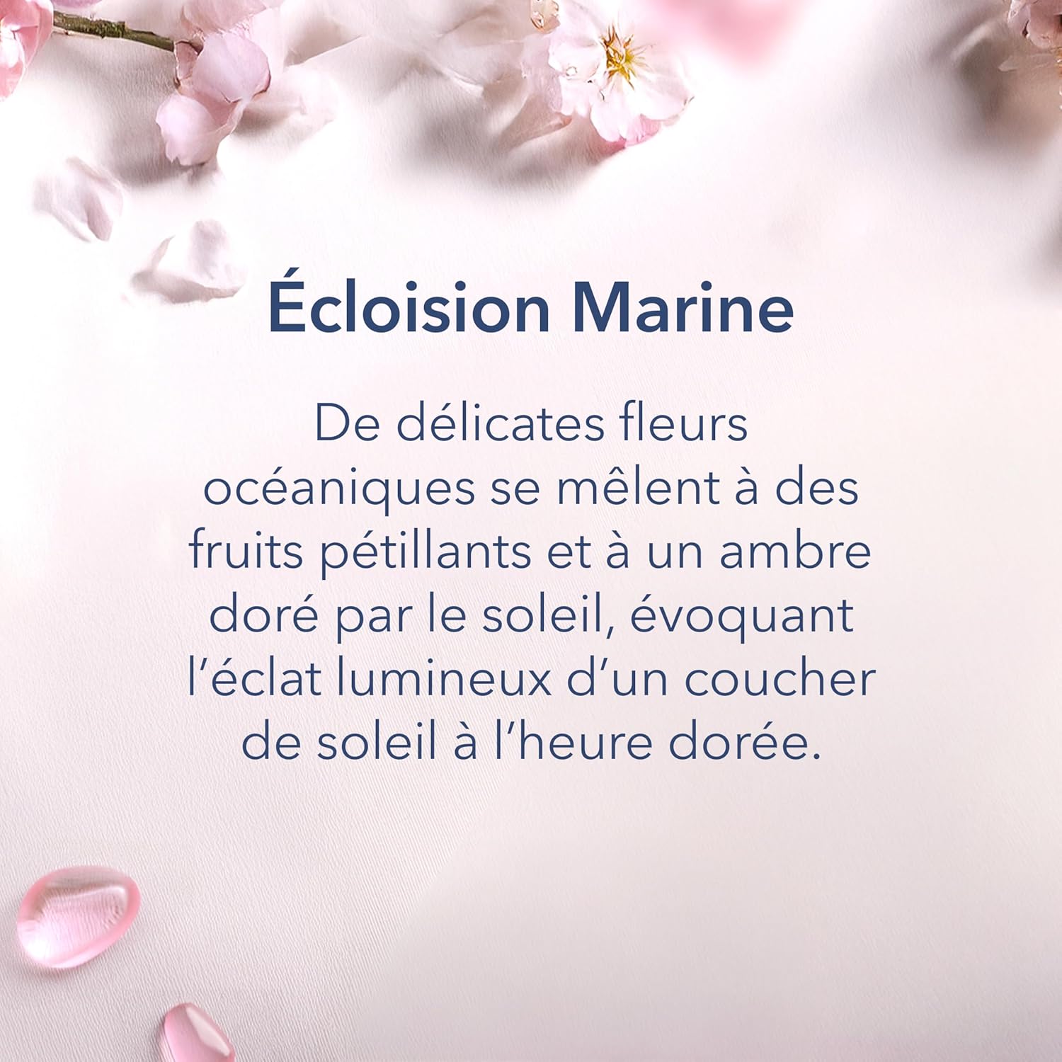 Detalle 2 de Chesapeake Bay Bougie parfumée | Éclosion marine – Bougie moyenne