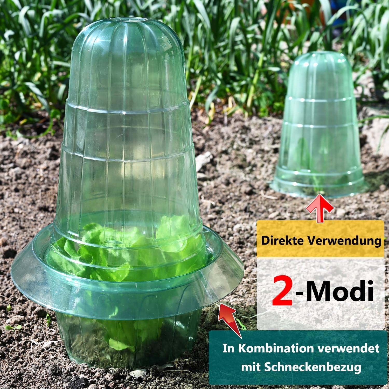 Thumbnail 4 de Emyimom Pflanzenhut (Pflanzhütchen) für Salatpflanzen – Schutz vor Vögeln, Schnecken und Wetter, 10er-Set